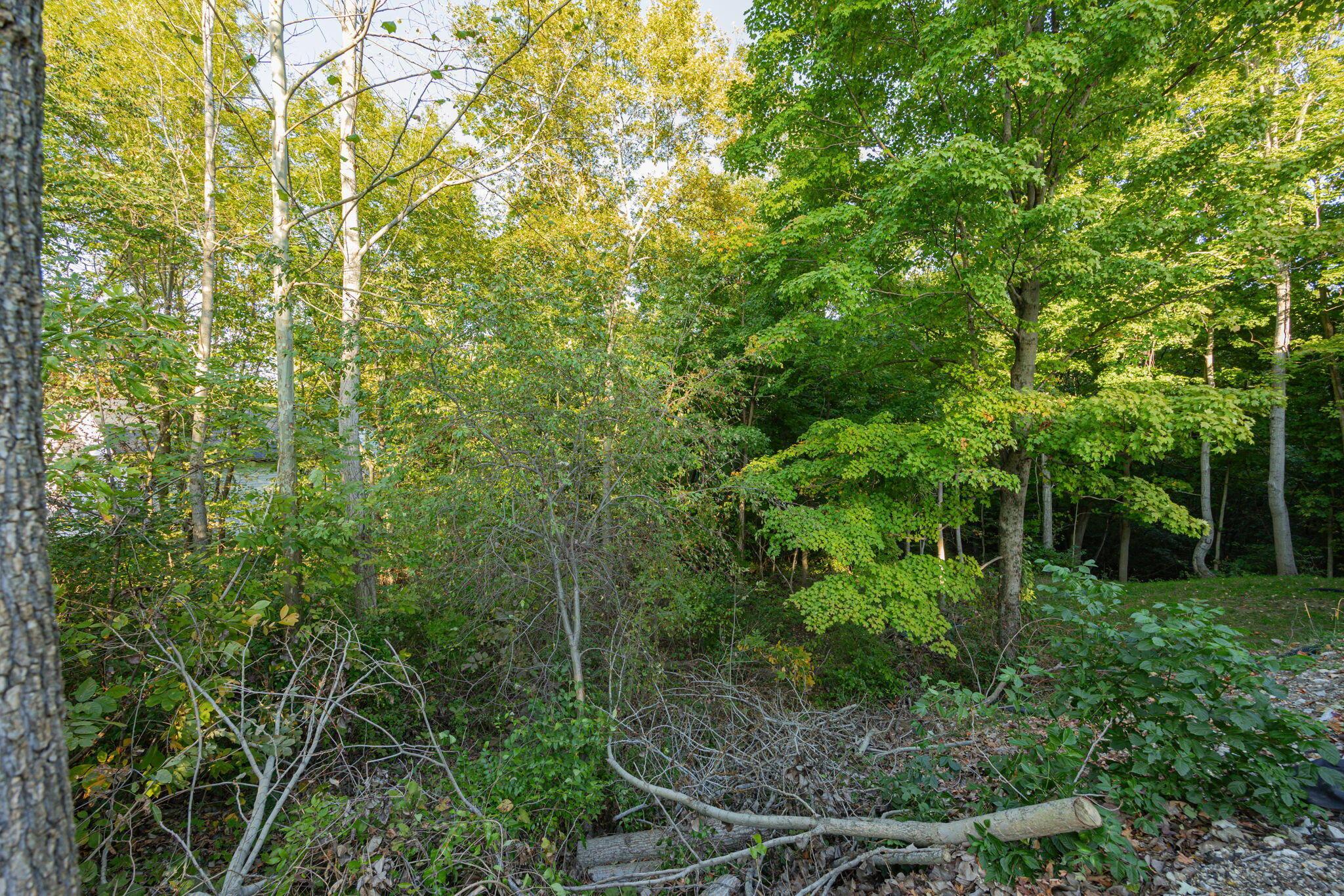 147 Quailrun Road Property Photo 60