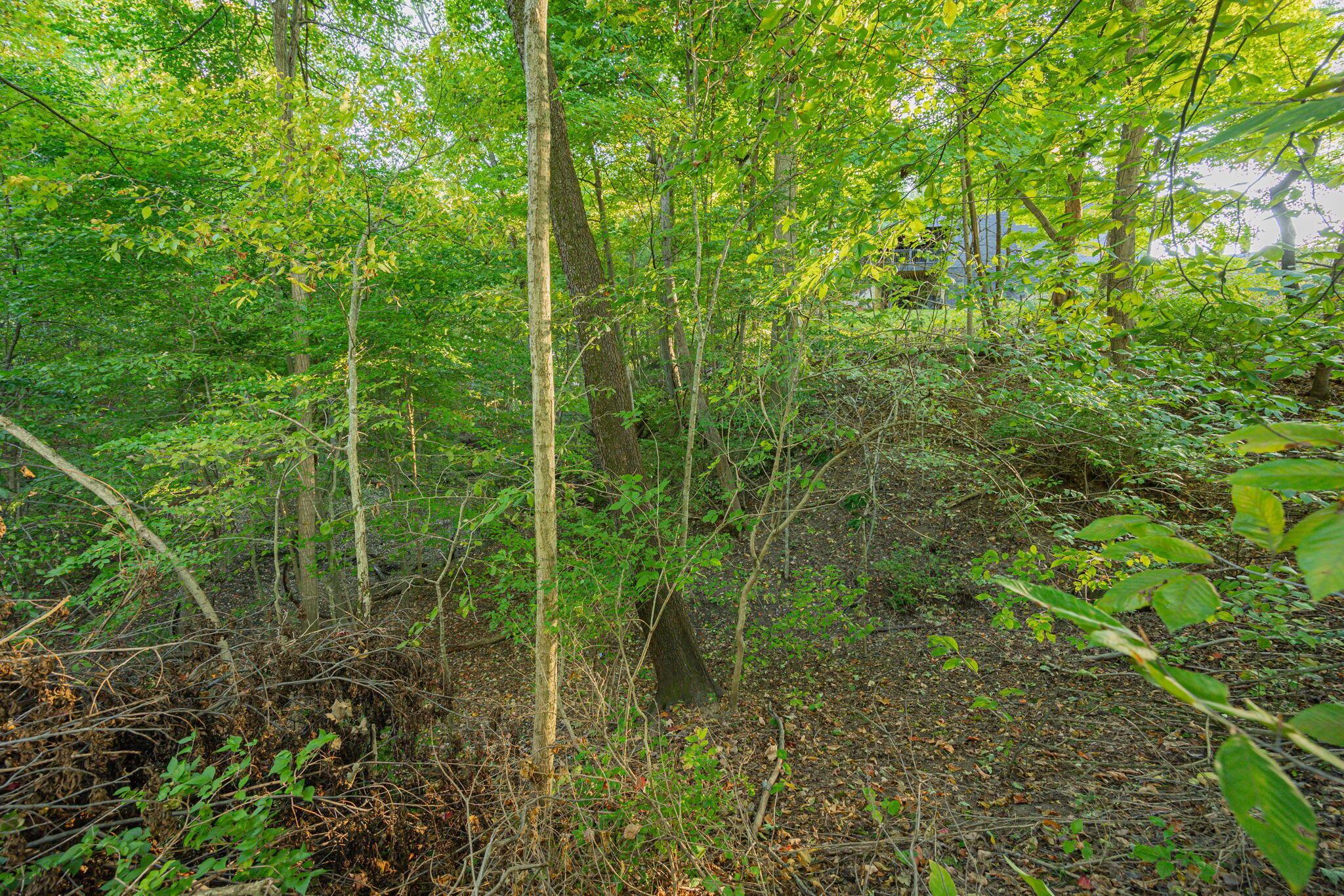 147 Quailrun Road Property Photo 64