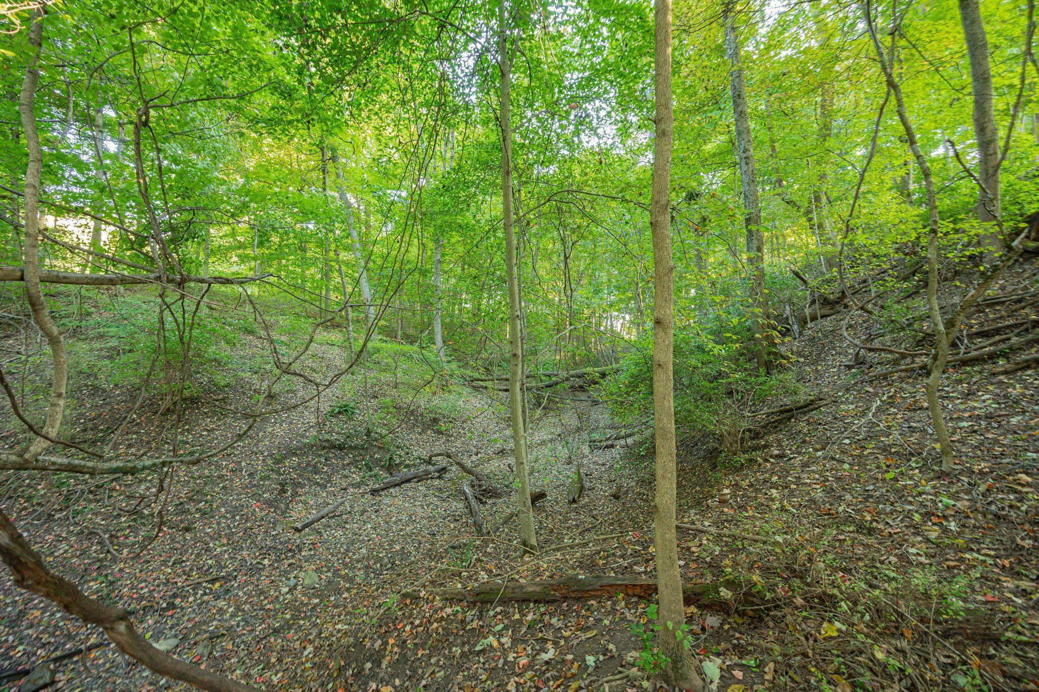 147 Quailrun Road Property Photo 65