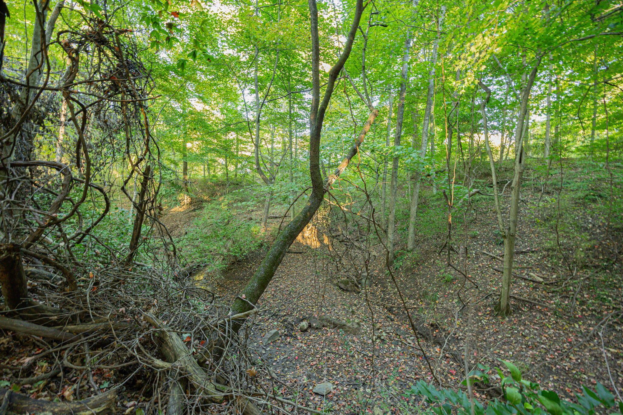147 Quailrun Road Property Photo 68