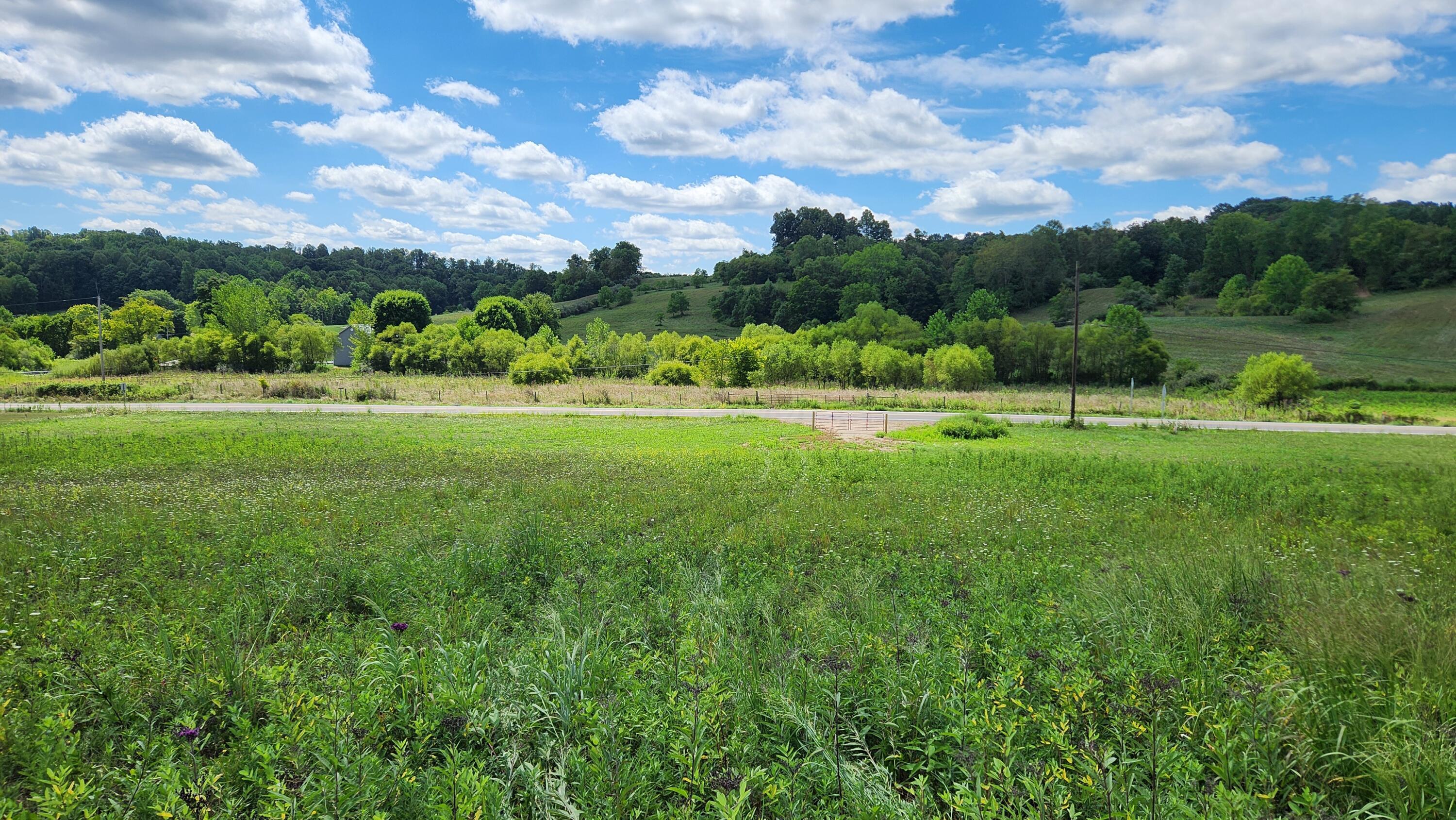 34978 Sr 681 Road, (tract 17 Albany Woods) Property Photo 13