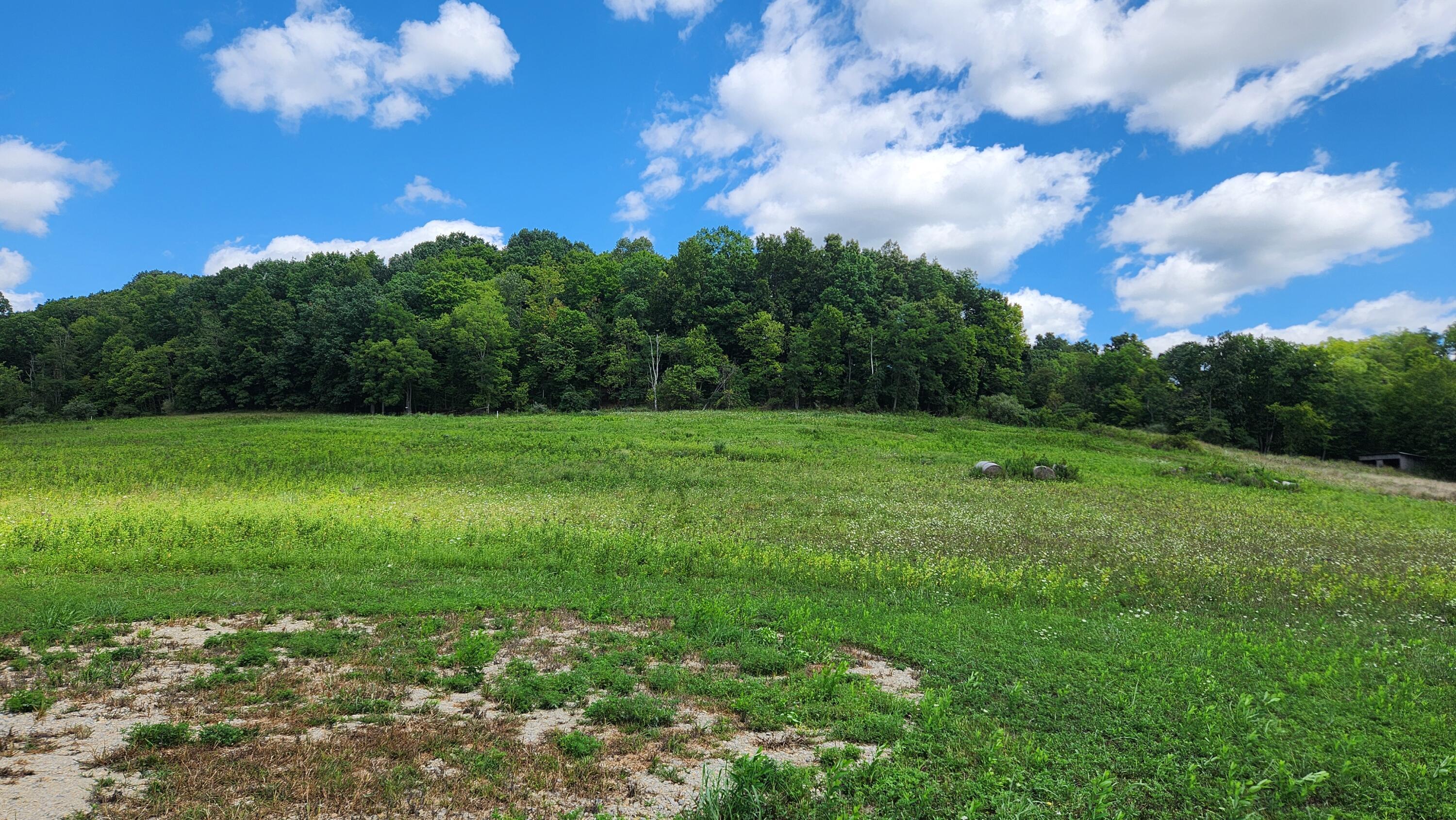 34978 Sr 681 Road, (tract 17 Albany Woods) Property Photo 15