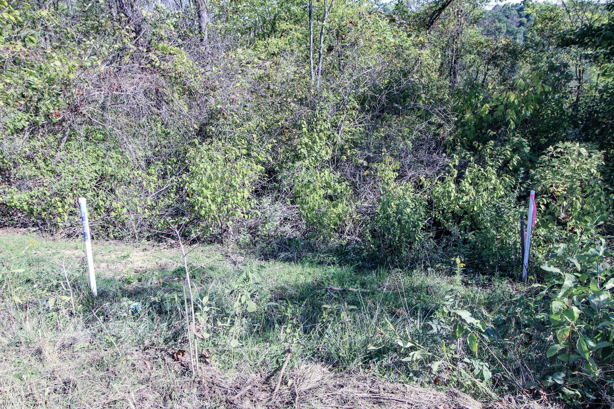 Lot 3 Moss Run Road Property Photo 3