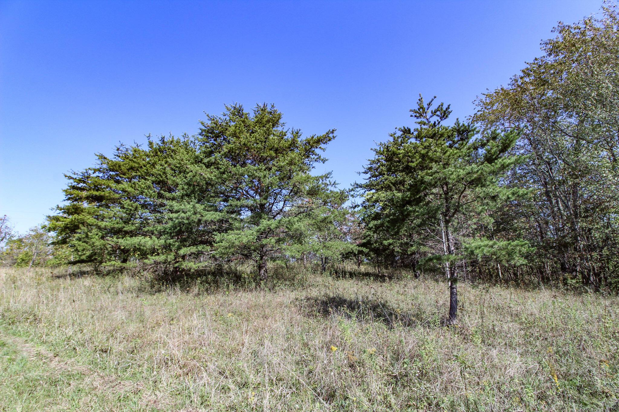 Lot 3 Moss Run Road Property Photo 5