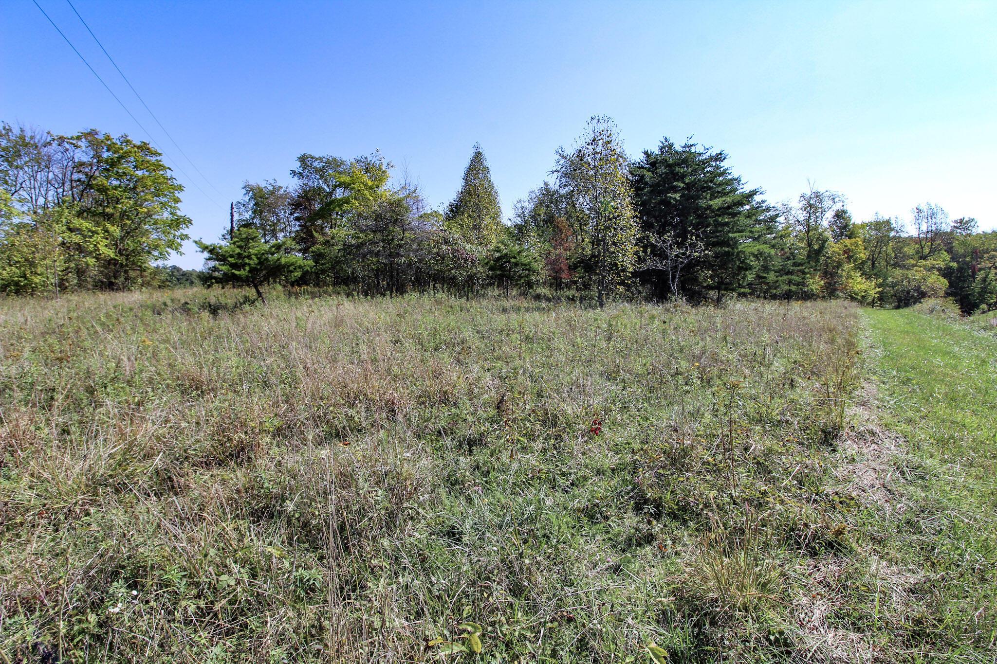 Lot 3 Moss Run Road Property Photo 6