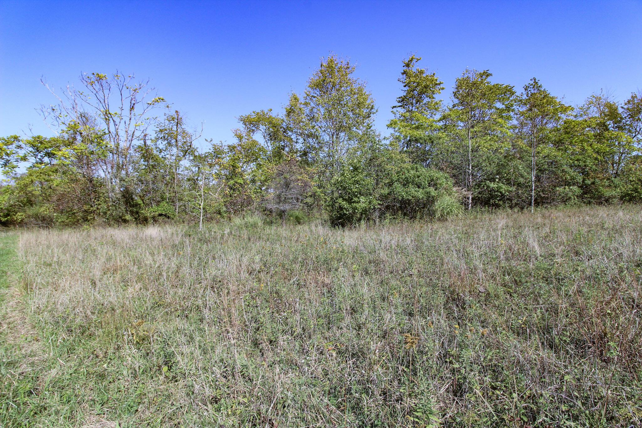 Lot 3 Moss Run Road Property Photo 7