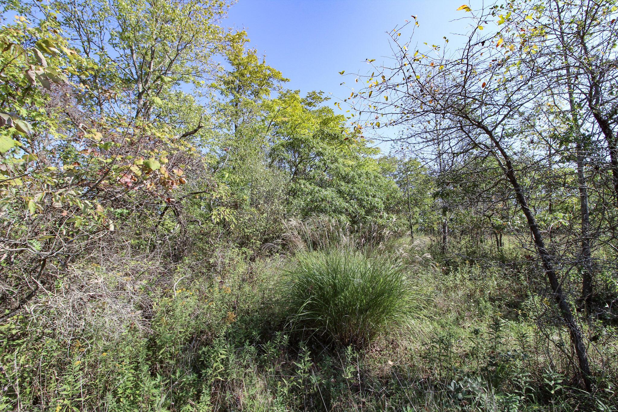 Lot 3 Moss Run Road Property Photo 10