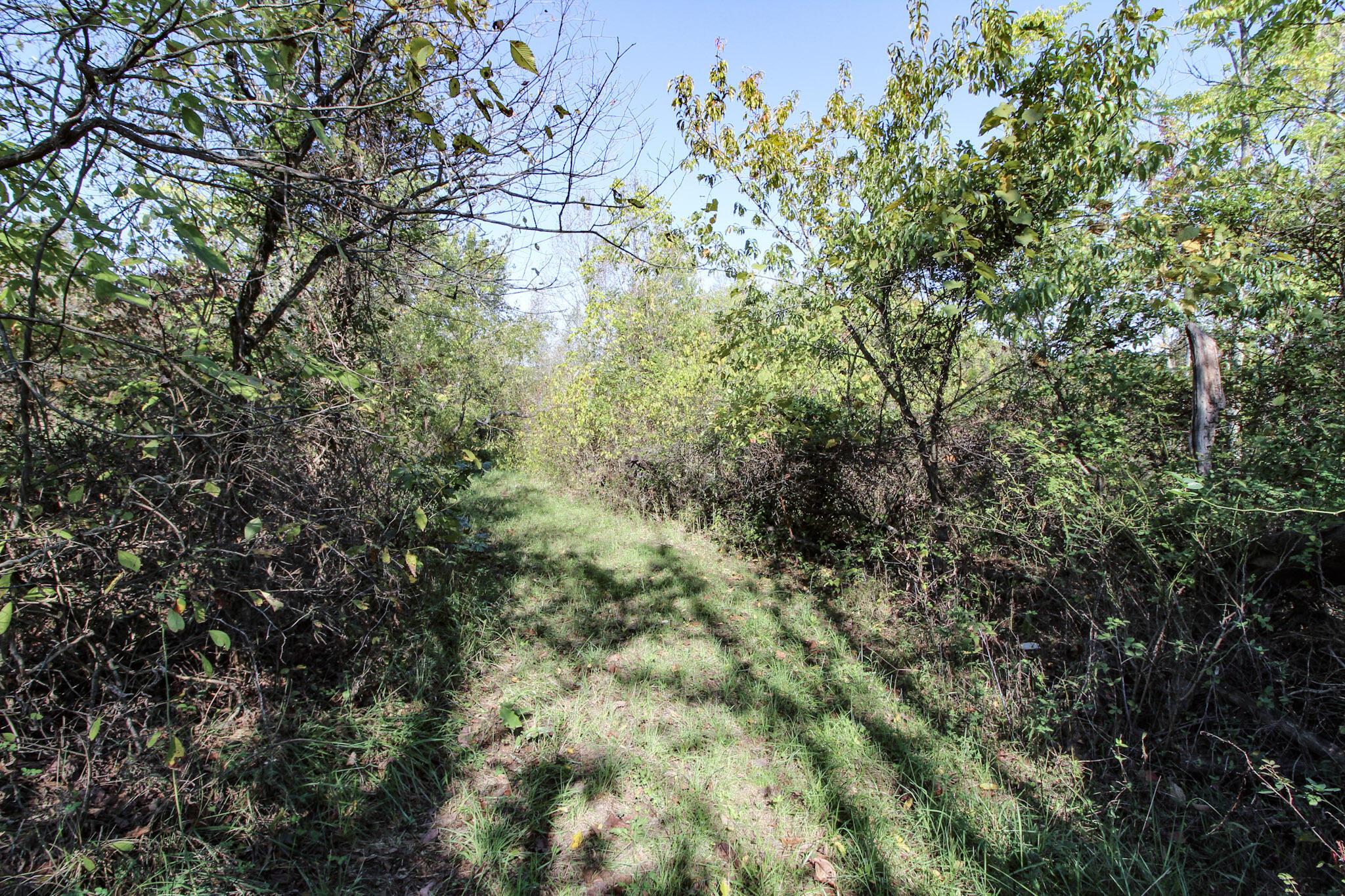Lot 3 Moss Run Road Property Photo 11