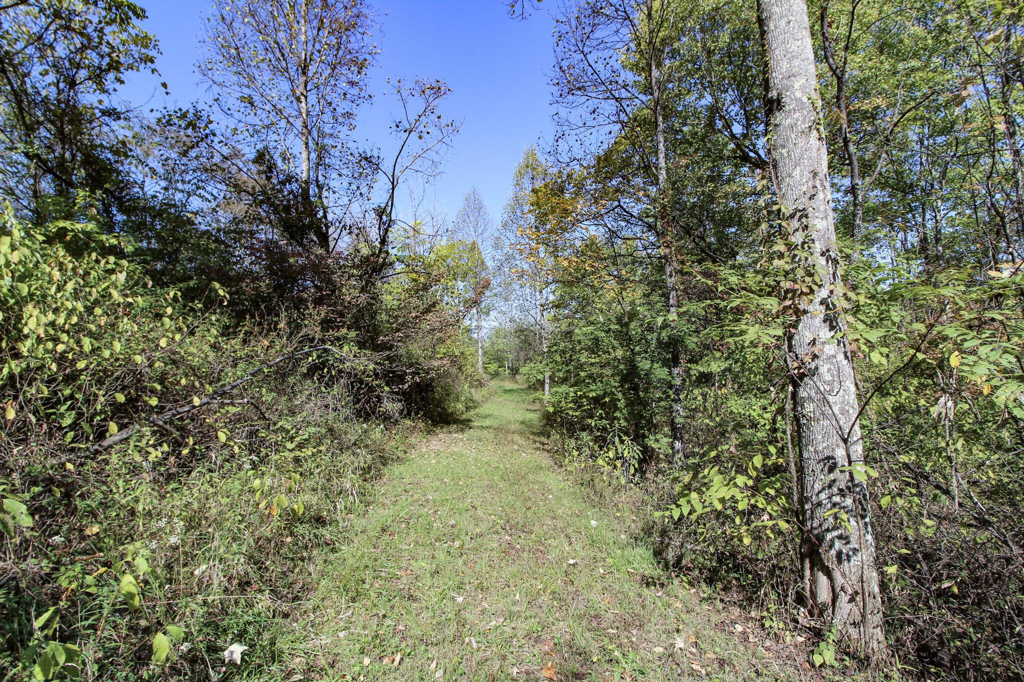 Lot 3 Moss Run Road Property Photo 12