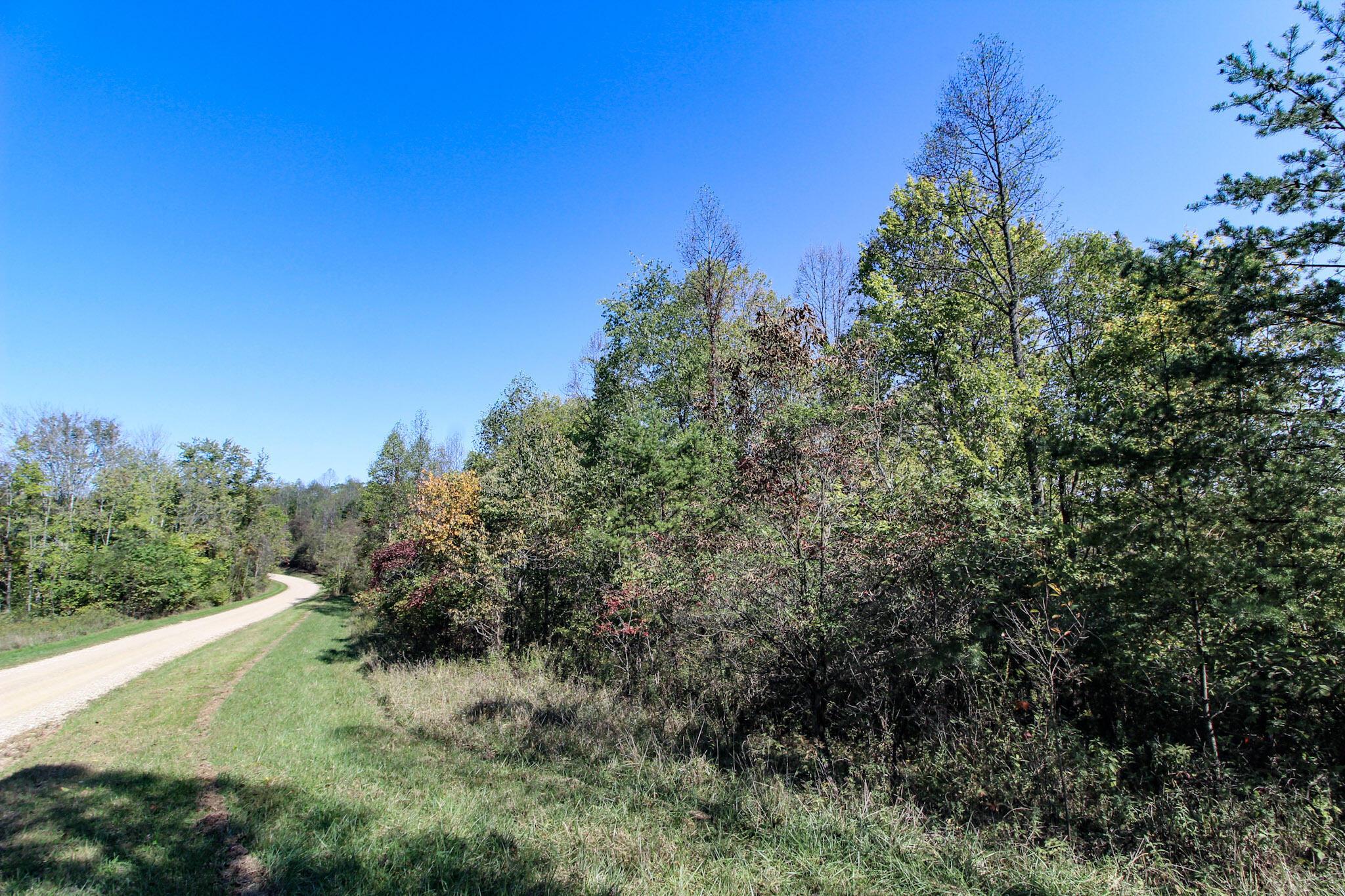 Lot 3 Moss Run Road Property Photo 13