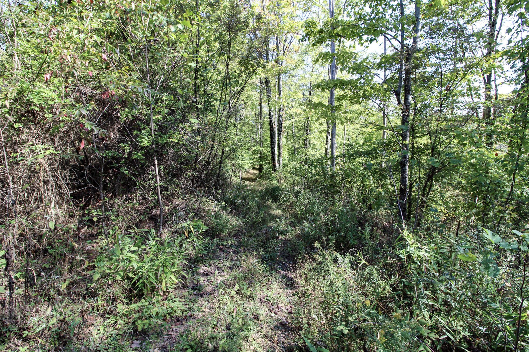 Lot 3 Moss Run Road Property Photo 15