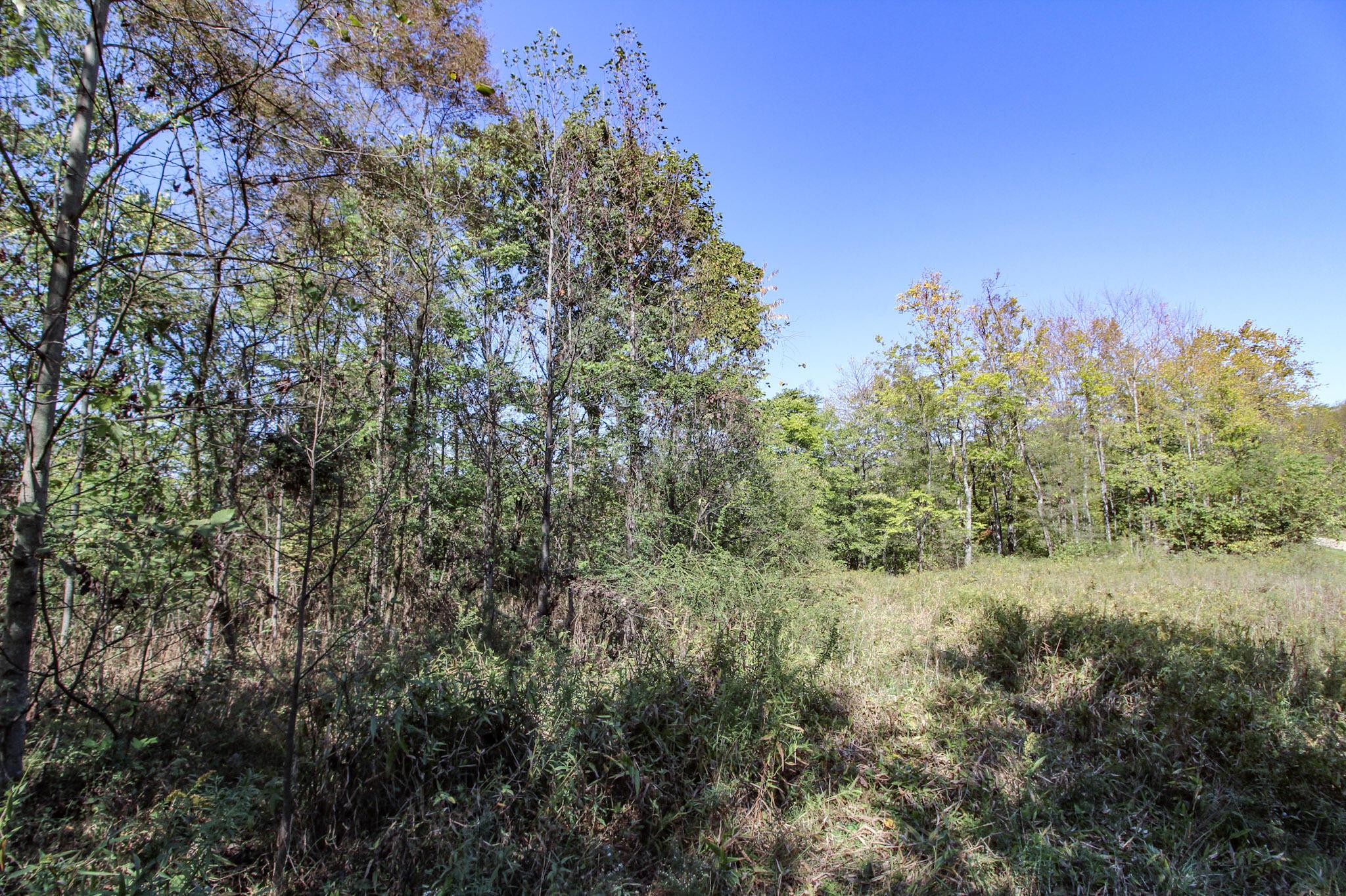 Lot 4 Moss Run Road Property Photo 2