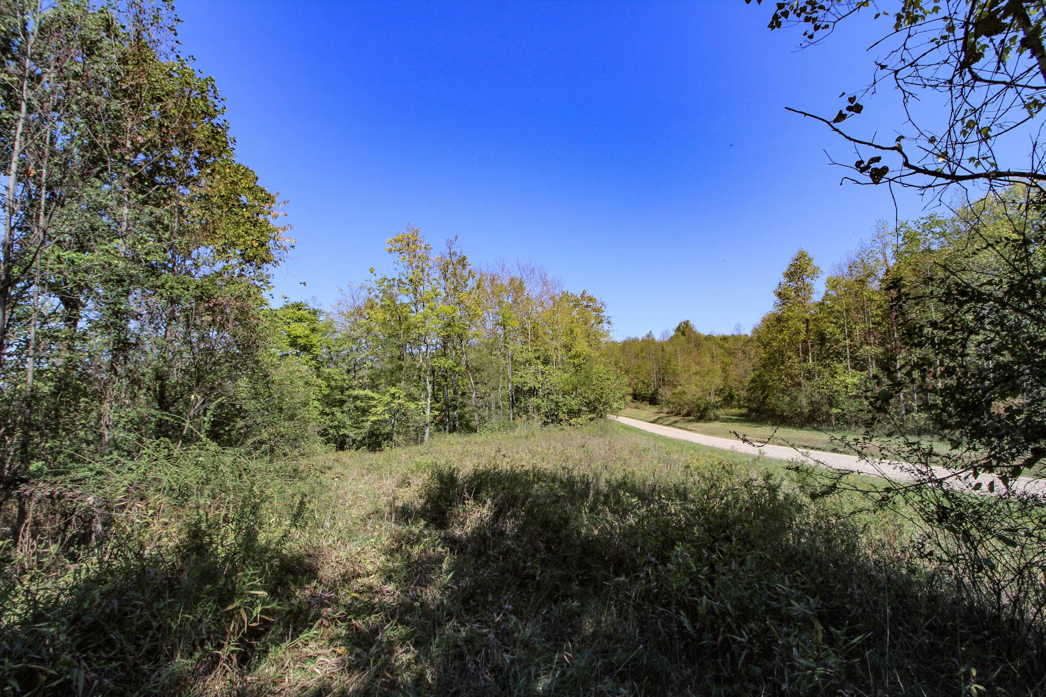 Lot 4 Moss Run Road Property Photo 3
