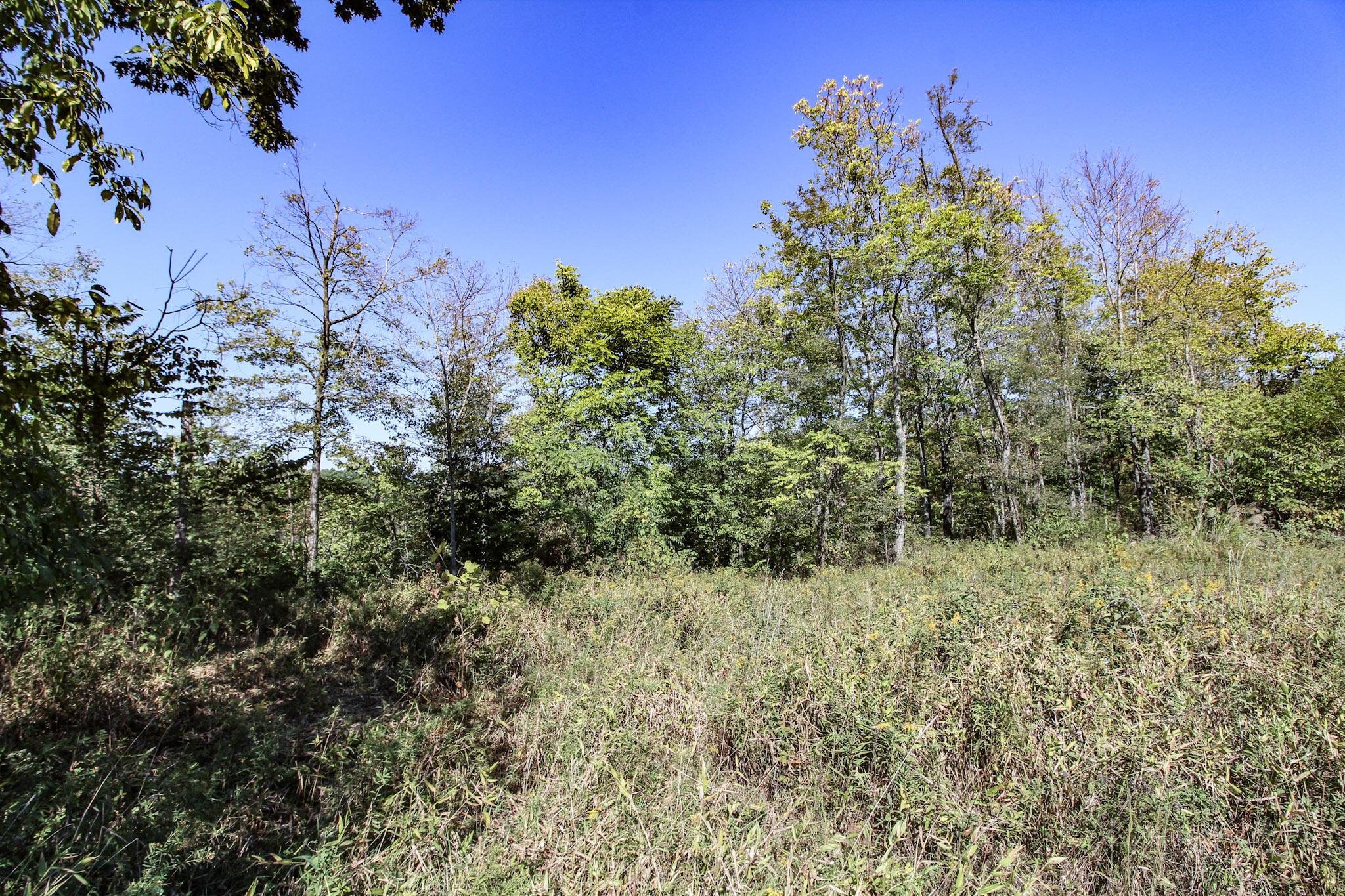 Lot 4 Moss Run Road Property Photo 4