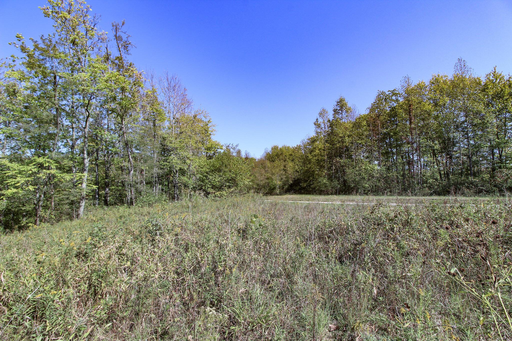 Lot 4 Moss Run Road Property Photo 5