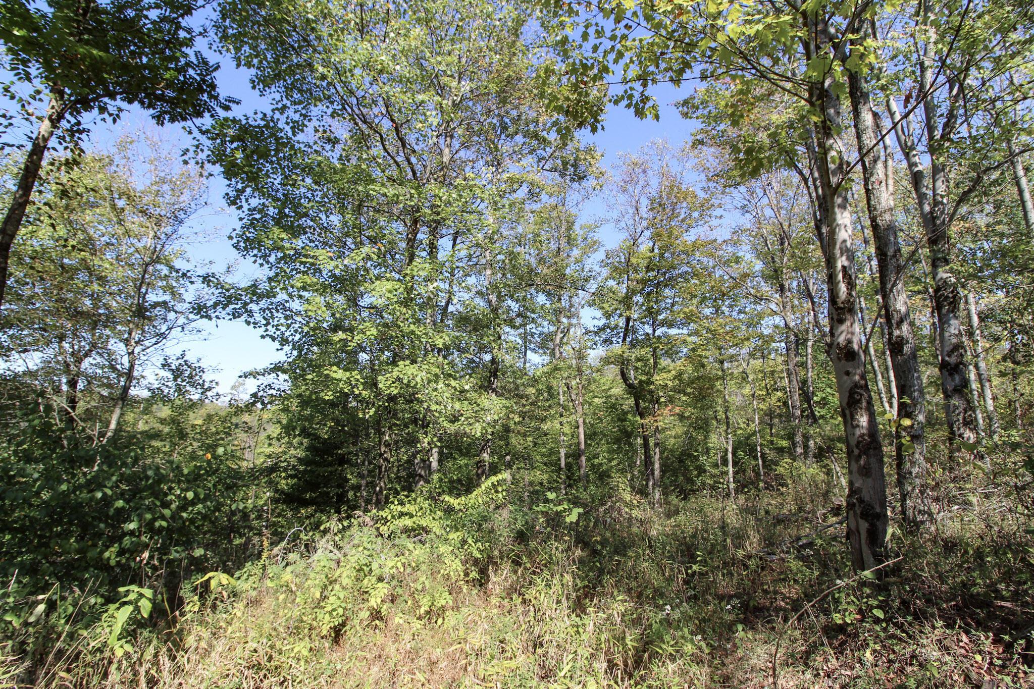 Lot 4 Moss Run Road Property Photo 9