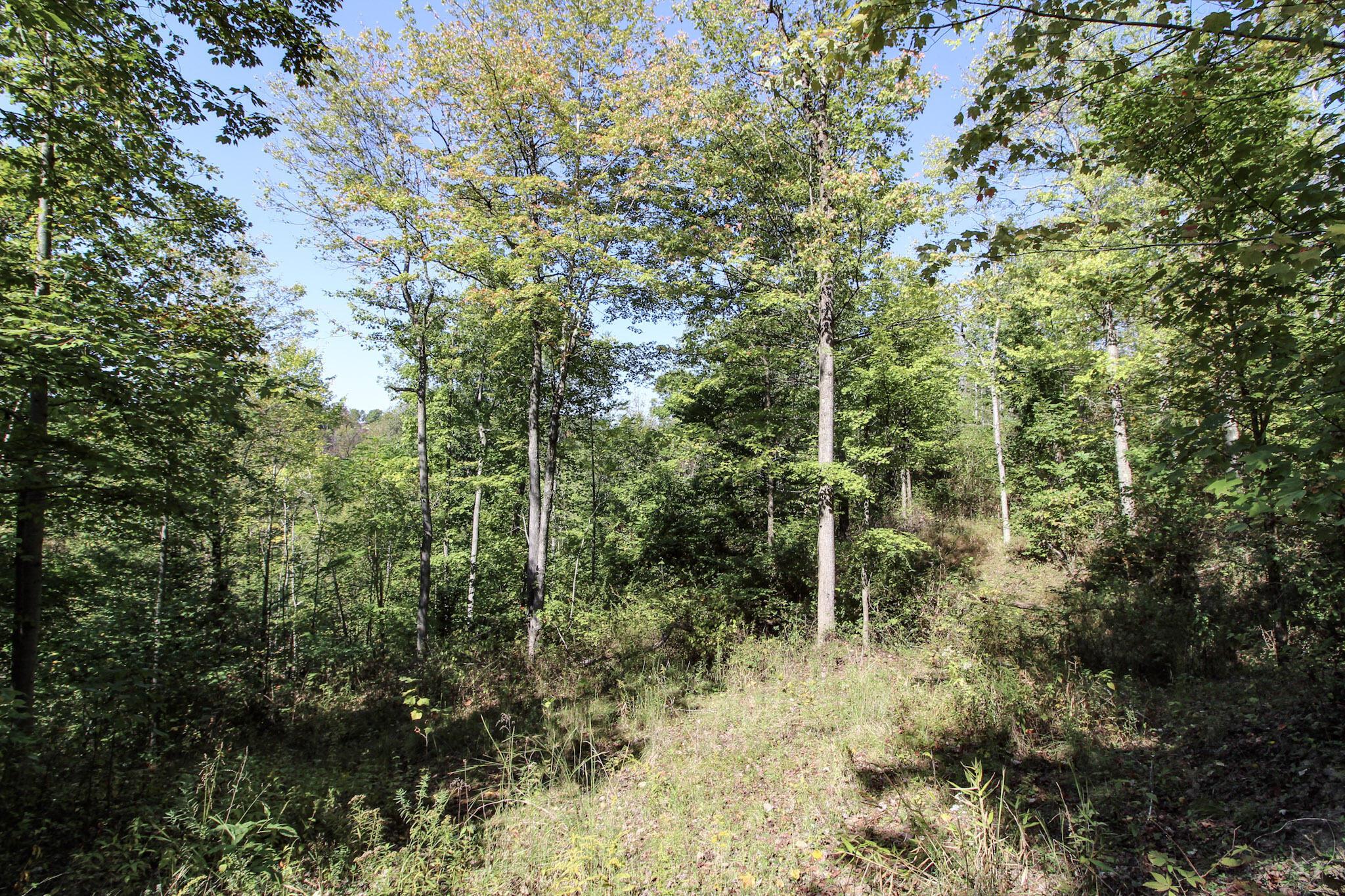 Lot 4 Moss Run Road Property Photo 11