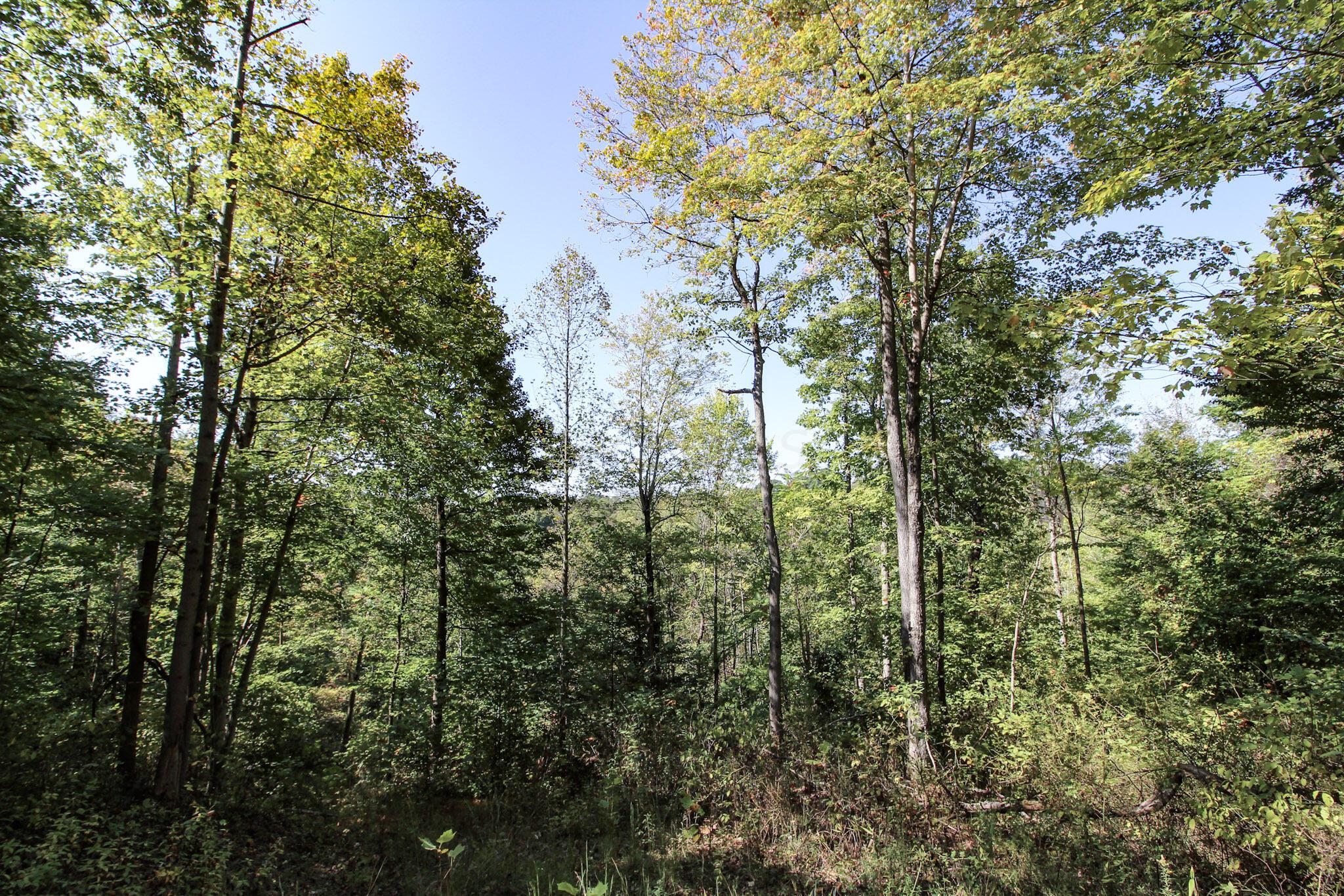 Lot 4 Moss Run Road Property Photo 12