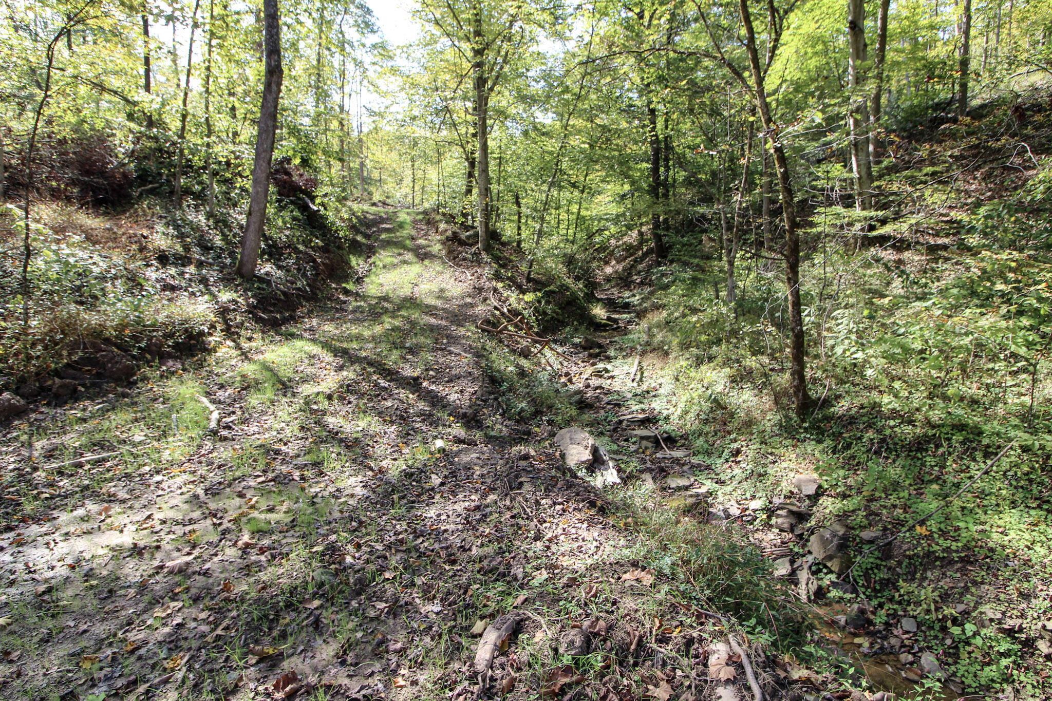 0 Cow Run Road Property Photo 2