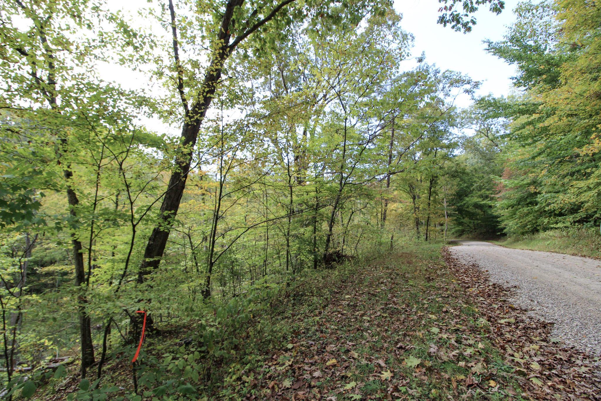 0 Cow Run Road Property Photo 3