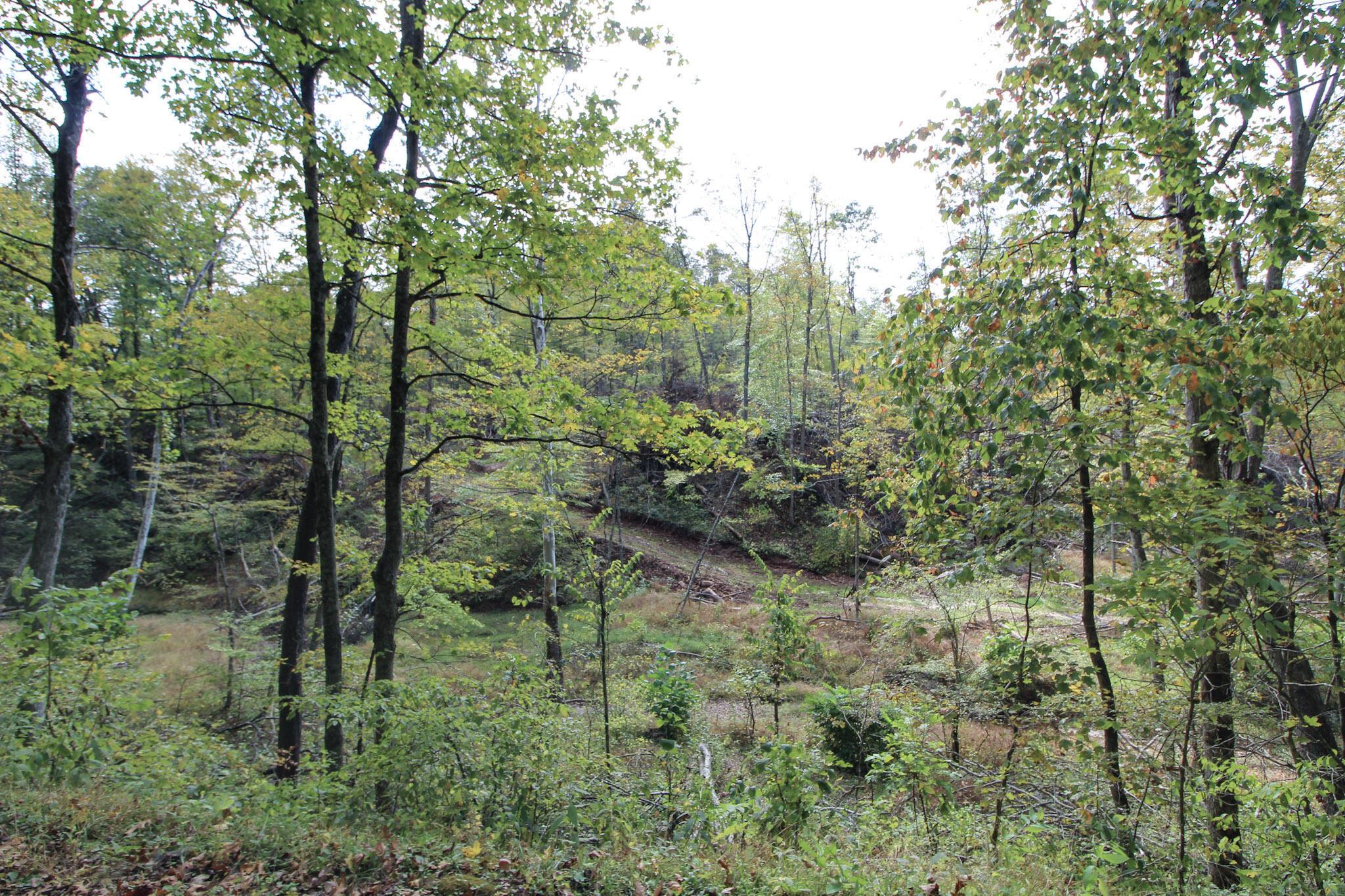 0 Cow Run Road Property Photo 4