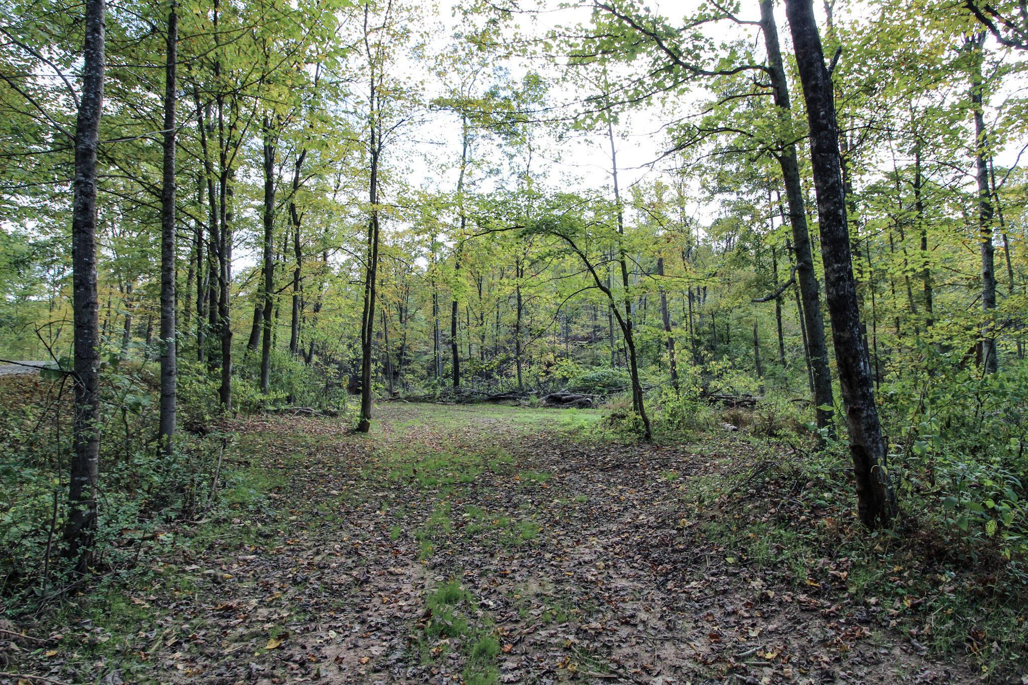 0 Cow Run Road Property Photo 5
