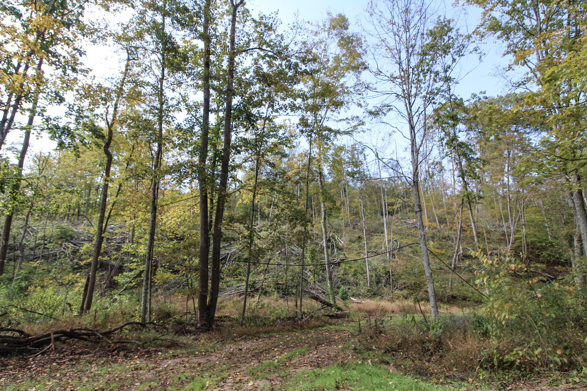 0 Cow Run Road Property Photo 6