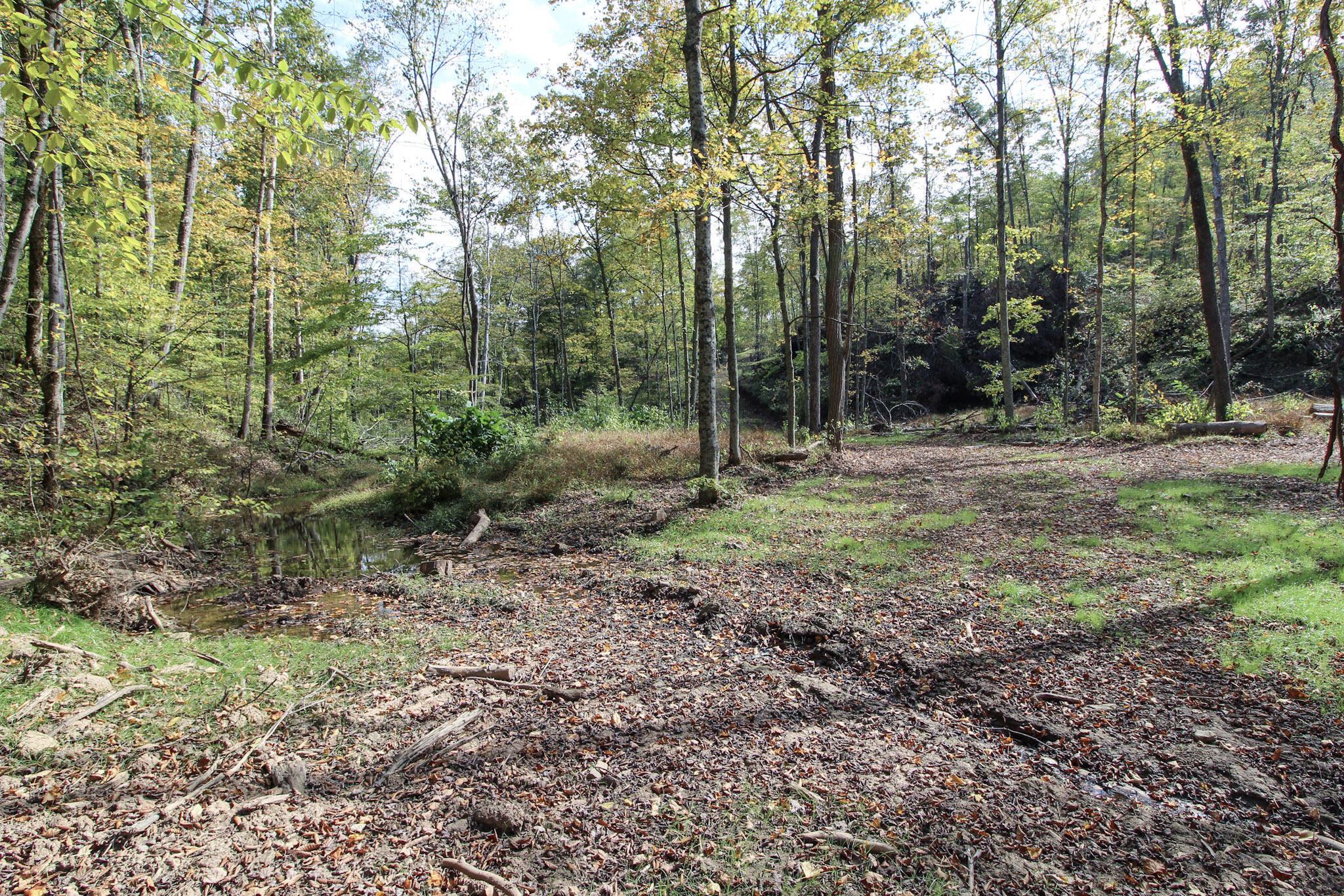 0 Cow Run Road Property Photo 8