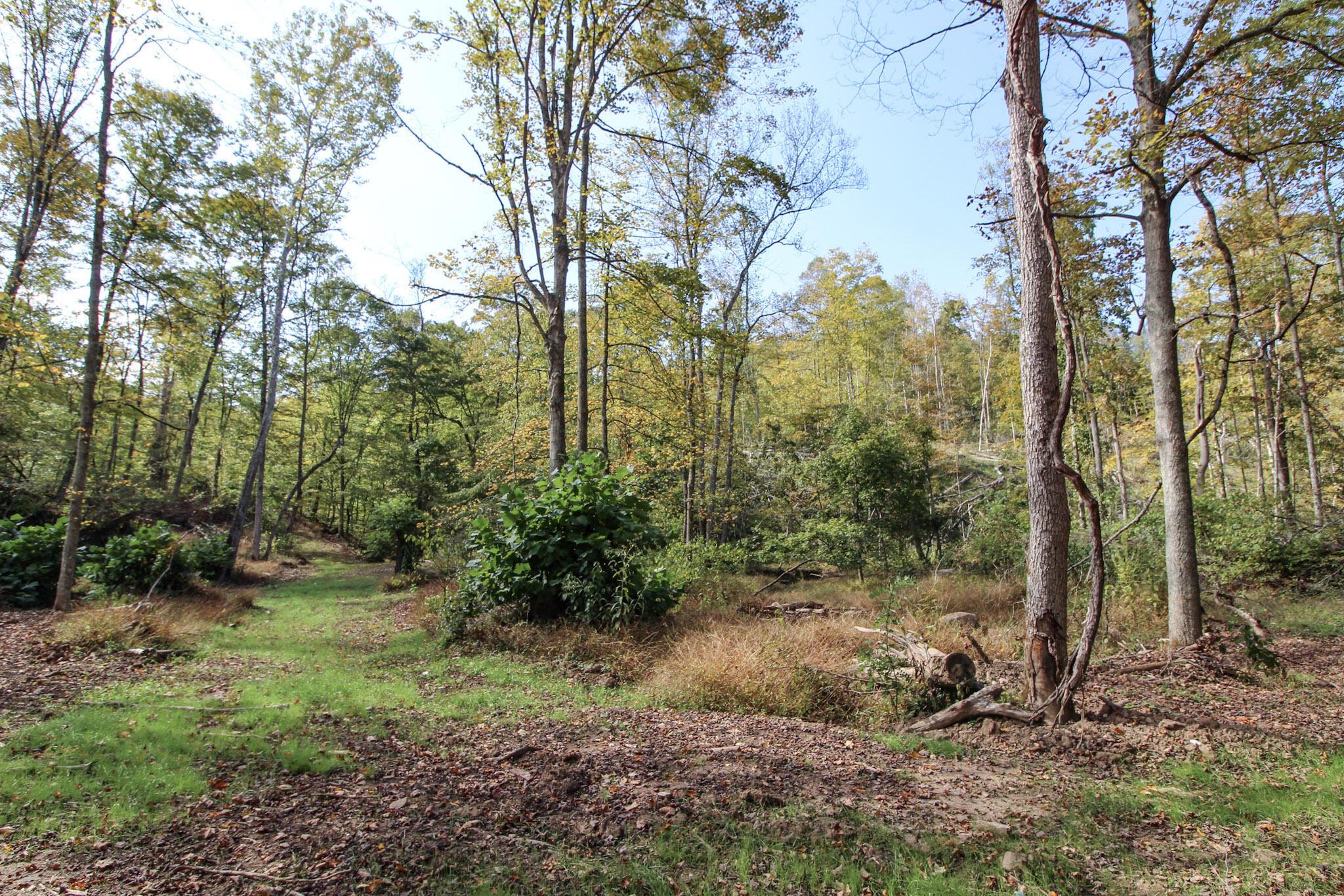 0 Cow Run Road Property Photo 9