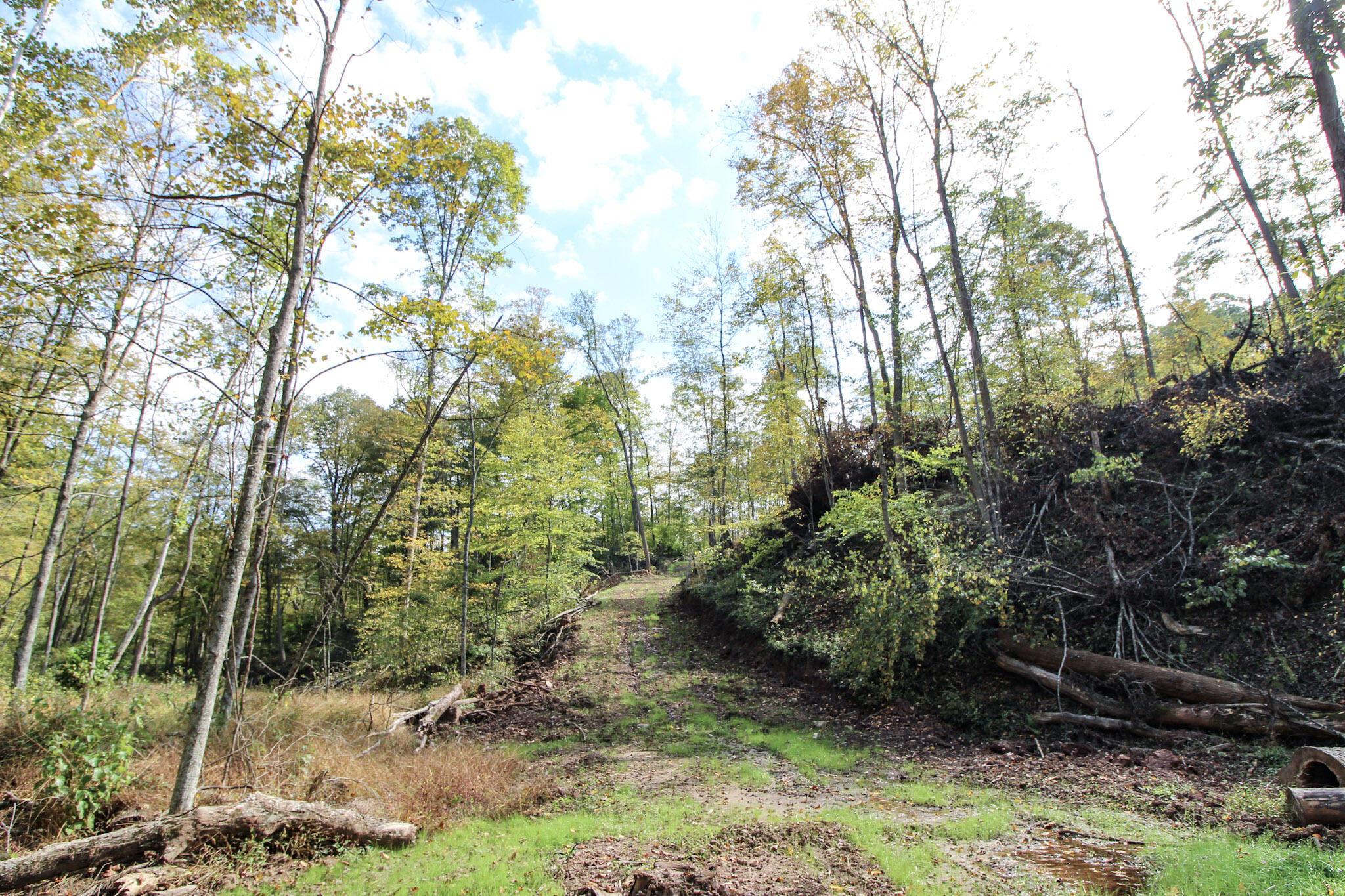 0 Cow Run Road Property Photo 10