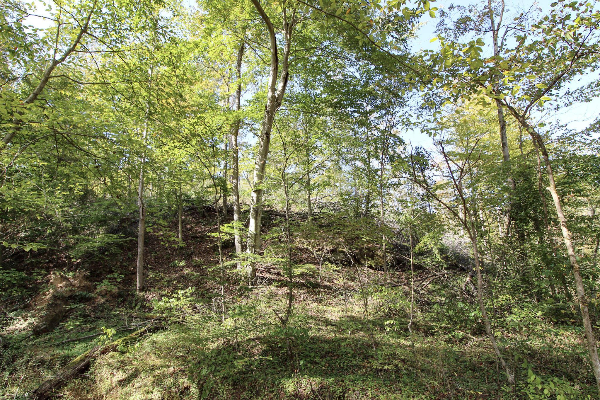0 Cow Run Road Property Photo 11