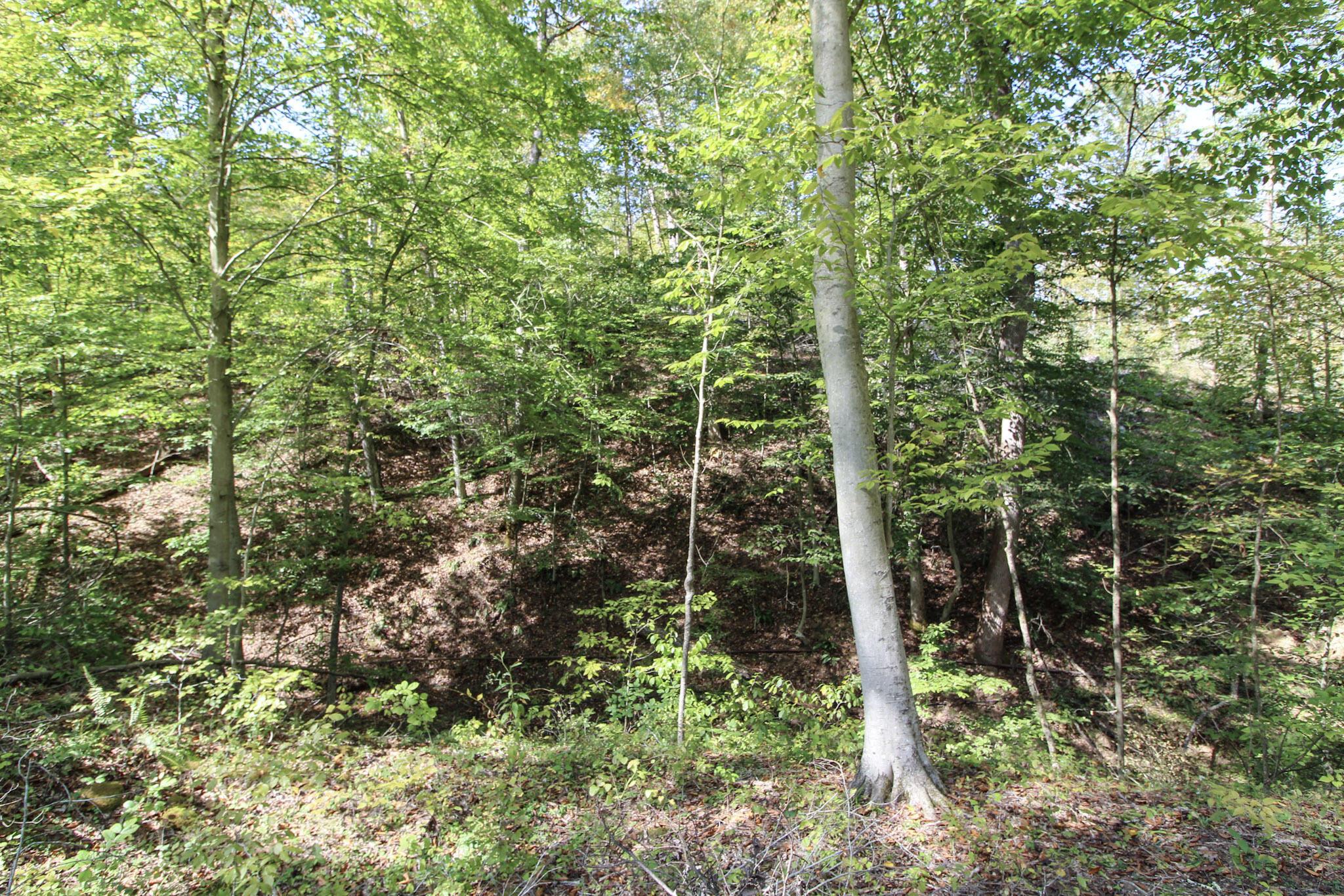 0 Cow Run Road Property Photo 12