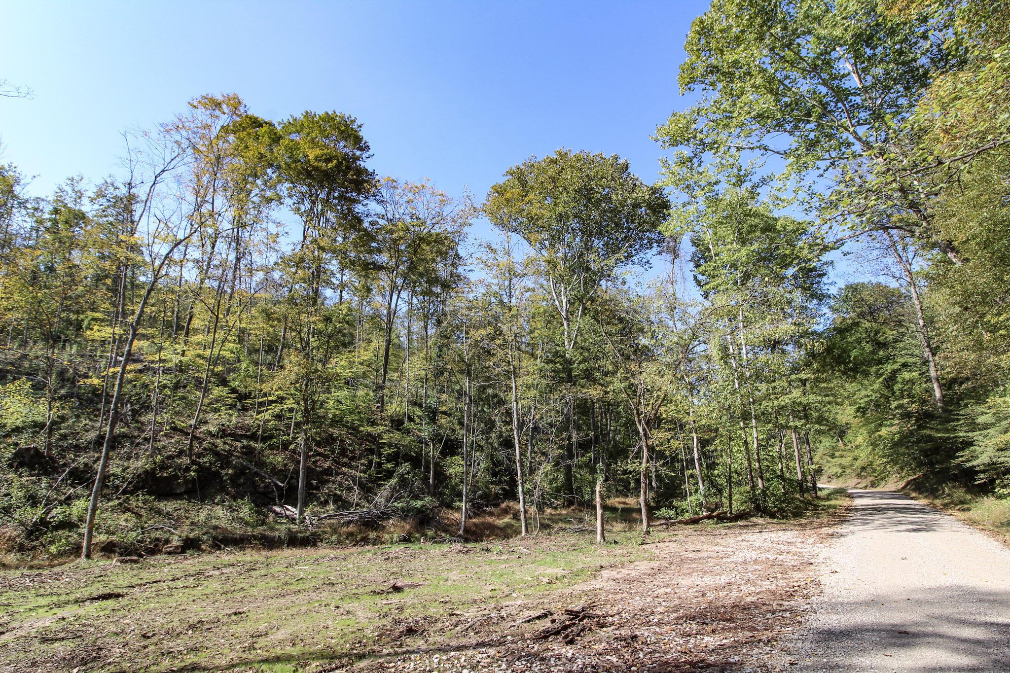 0 Cow Run Road Property Photo 16