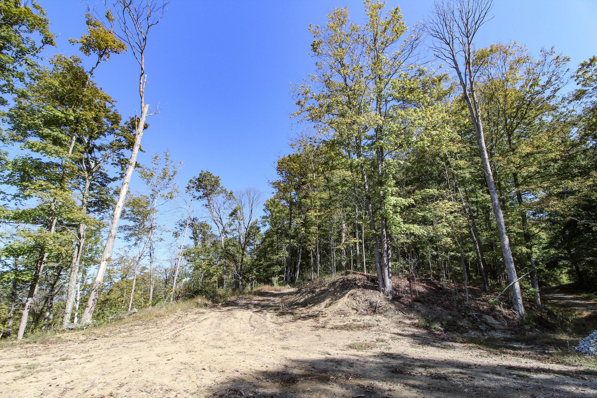 Lot 1 Brooks Road Property Photo 3