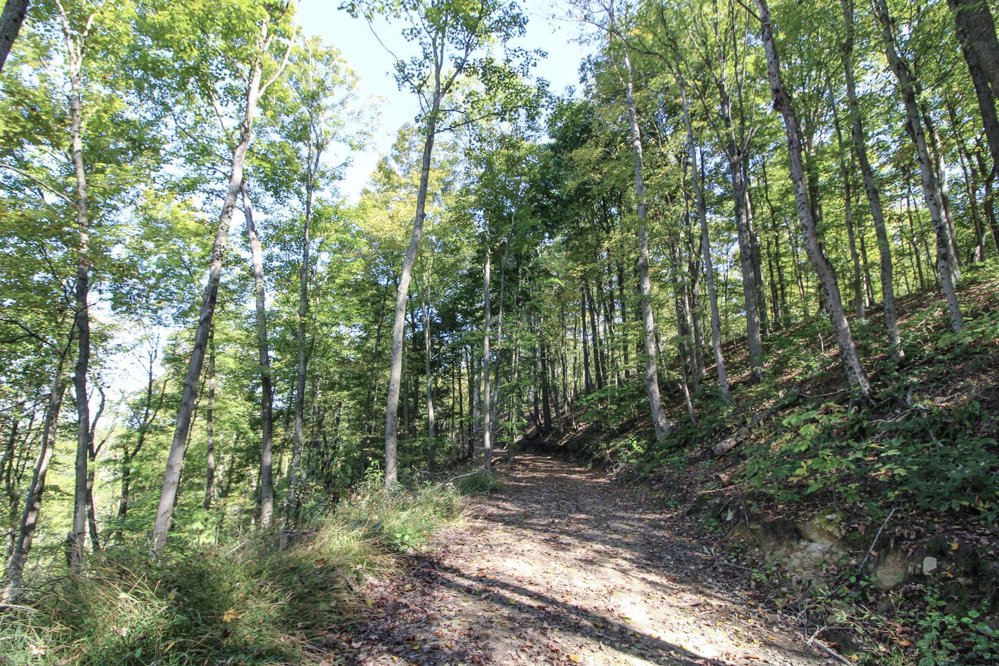 Lot 1 Brooks Road Property Photo 4
