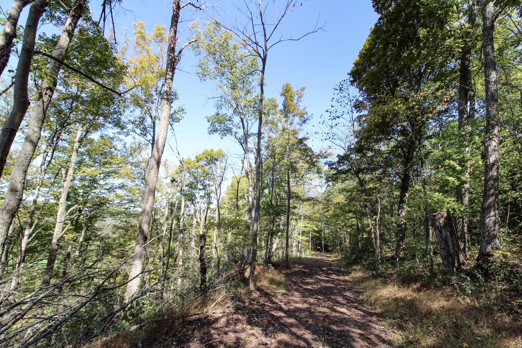 Lot 1 Brooks Road Property Photo 6
