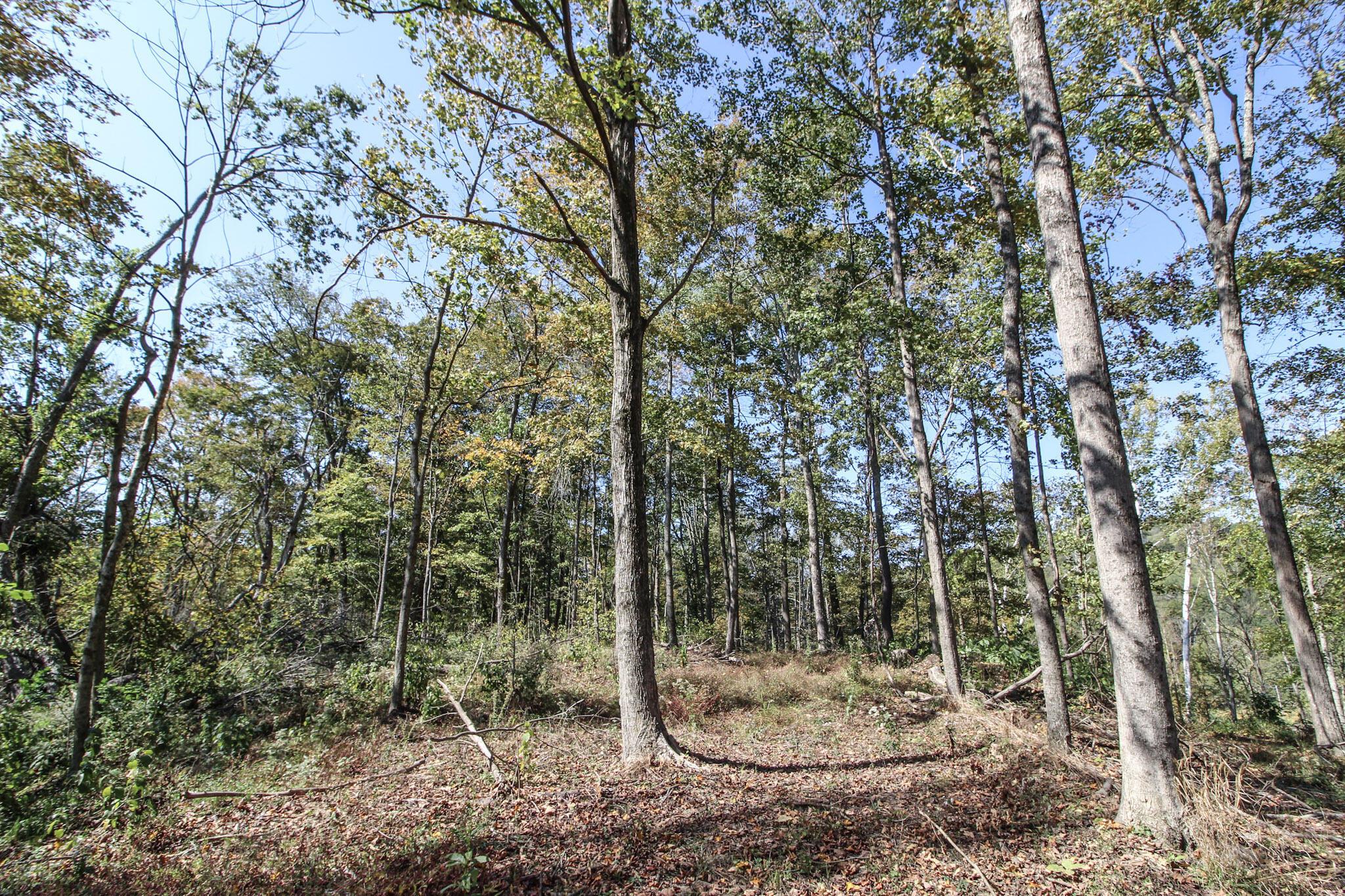 Lot 1 Brooks Road Property Photo 10