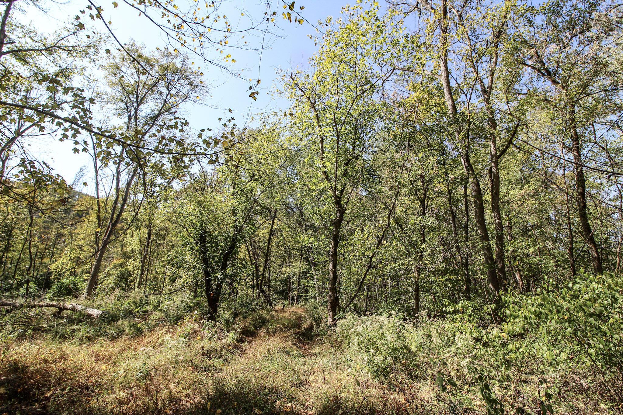 Lot 1 Brooks Road Property Photo 12