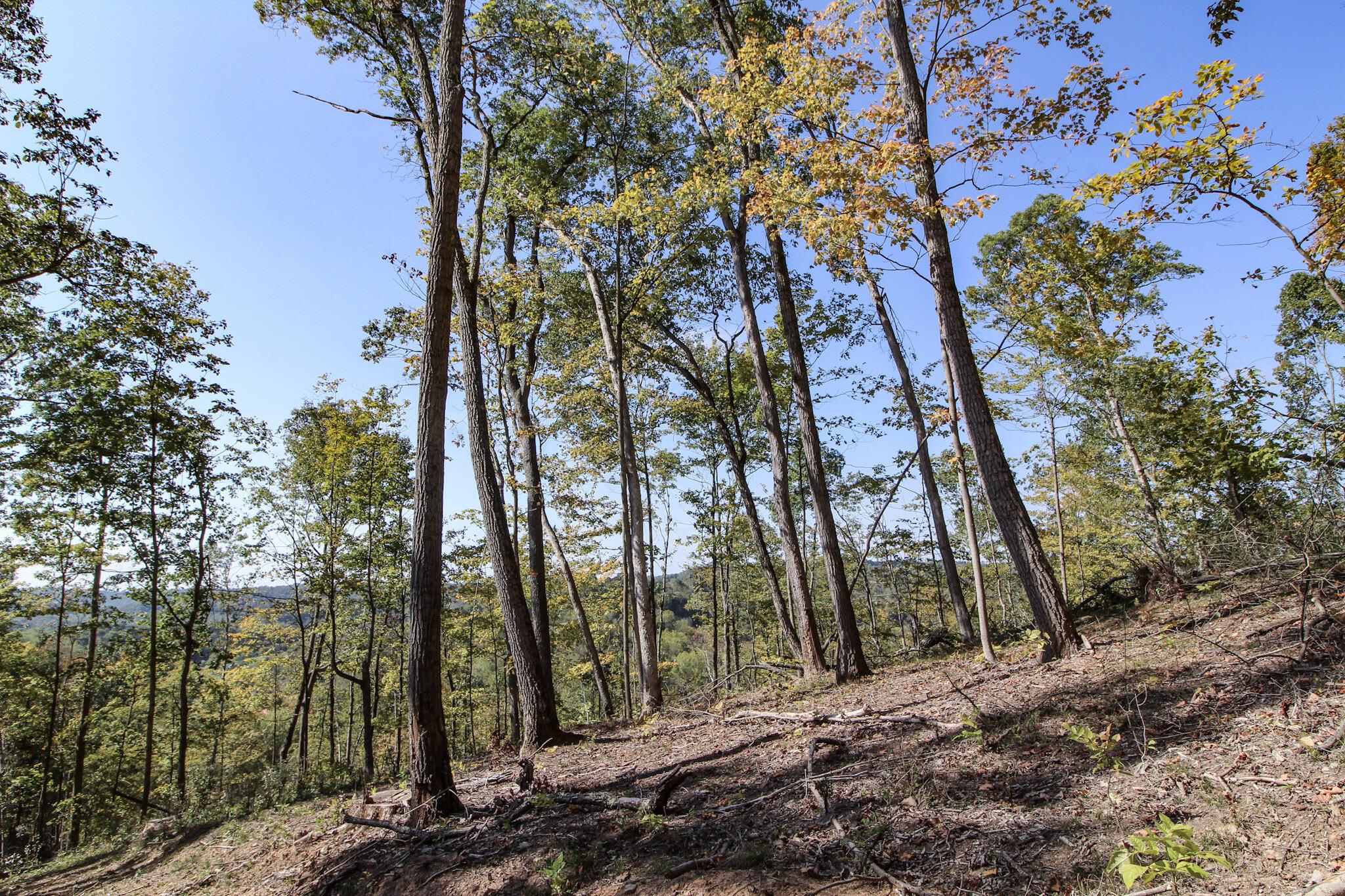 Lot 1 Brooks Road Property Photo 14
