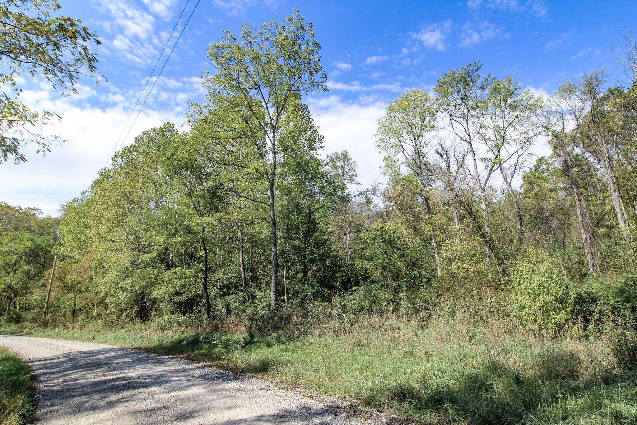 Lot 3 Brooks Road Property Photo 2