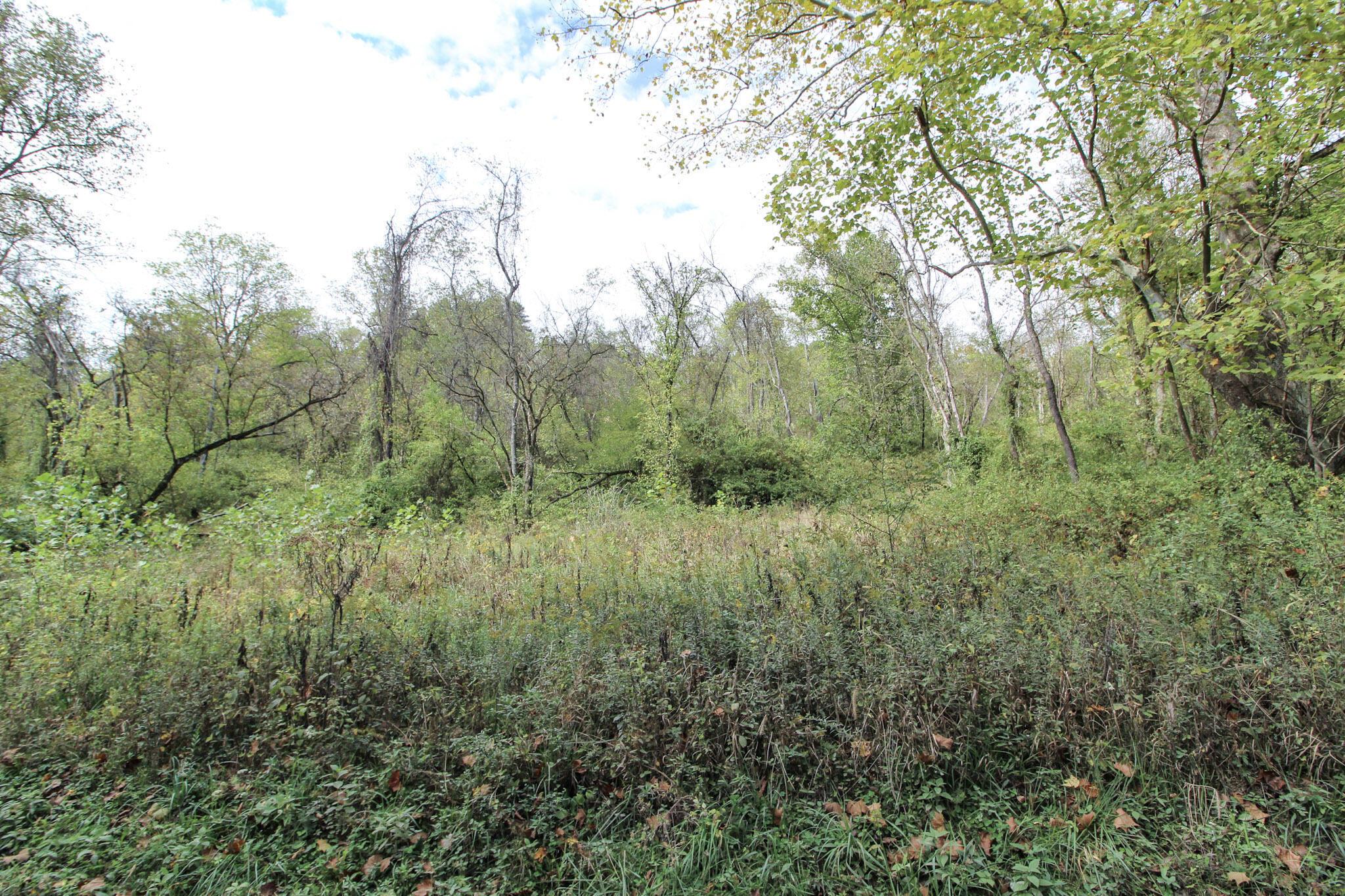 Lot 3 Brooks Road Property Photo 4