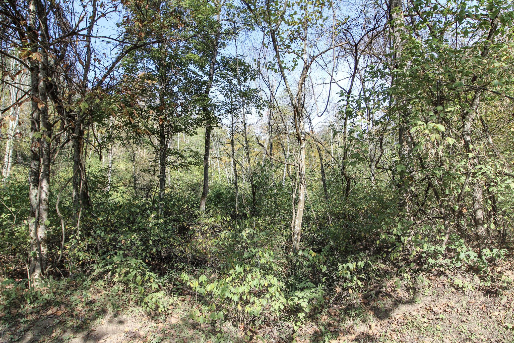 Lot 3 Brooks Road Property Photo 9