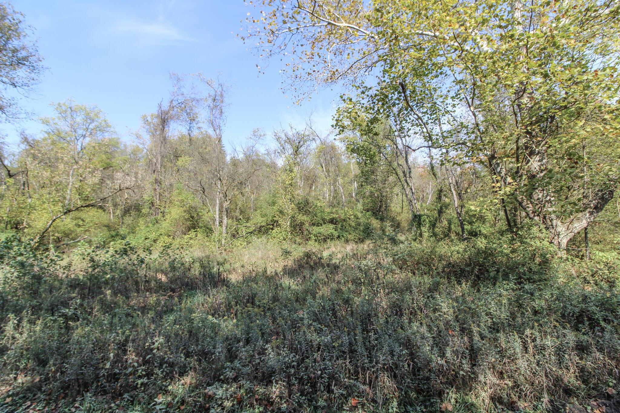 Lot 3 Brooks Road Property Photo 12
