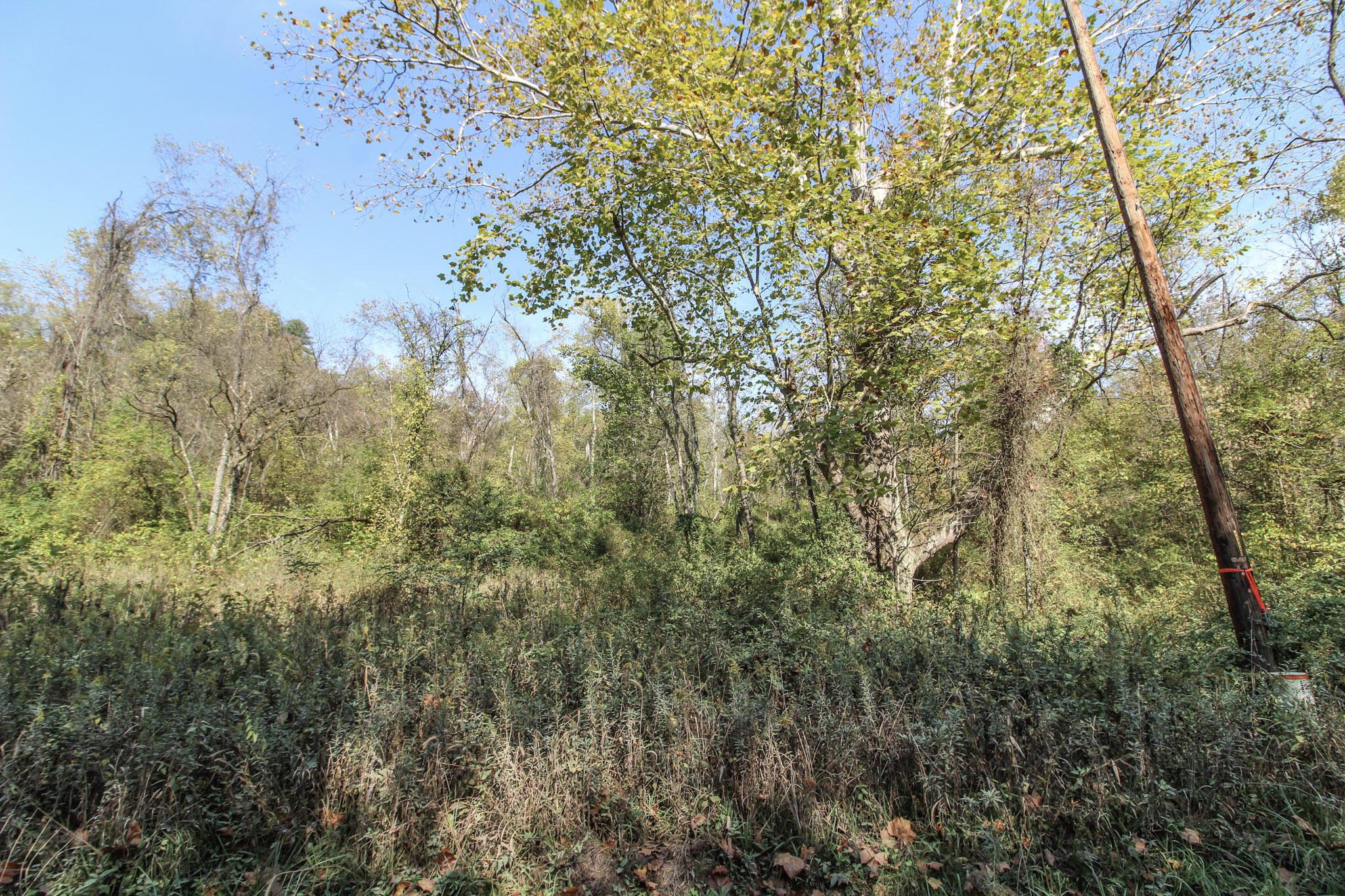 Lot 3 Brooks Road Property Photo 13