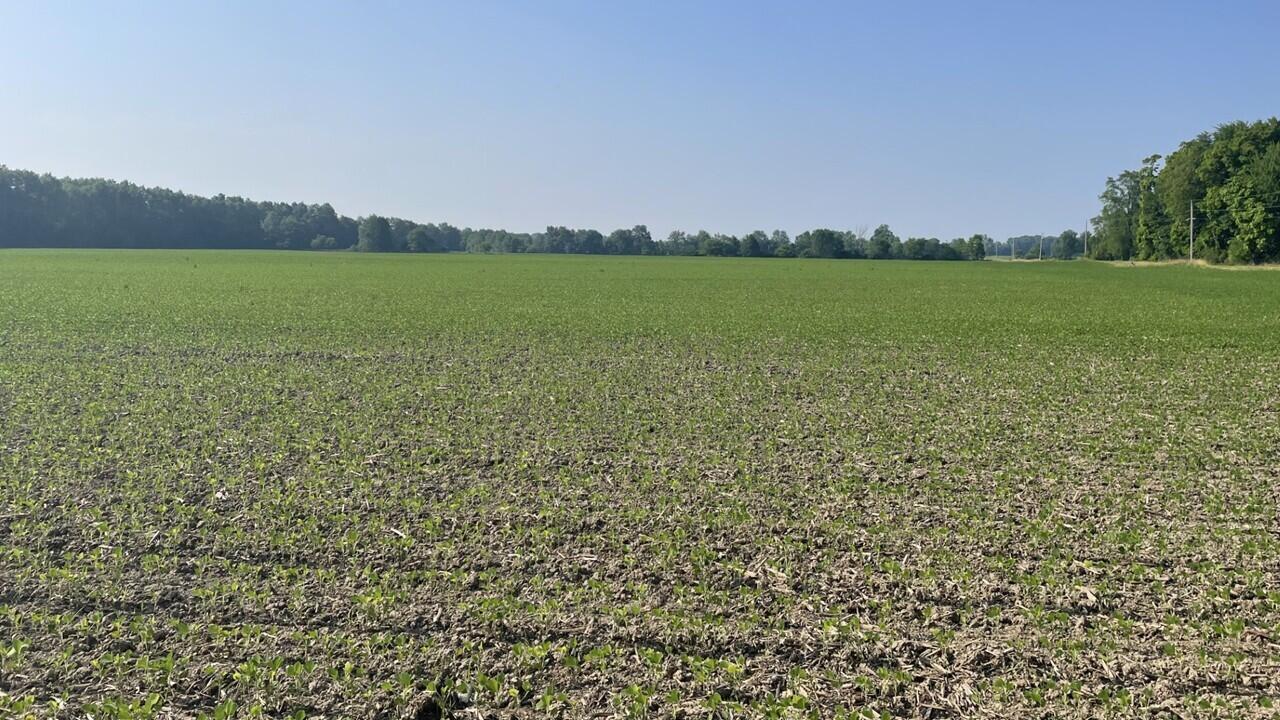20478 Delaware County Line Road Property Photo 3
