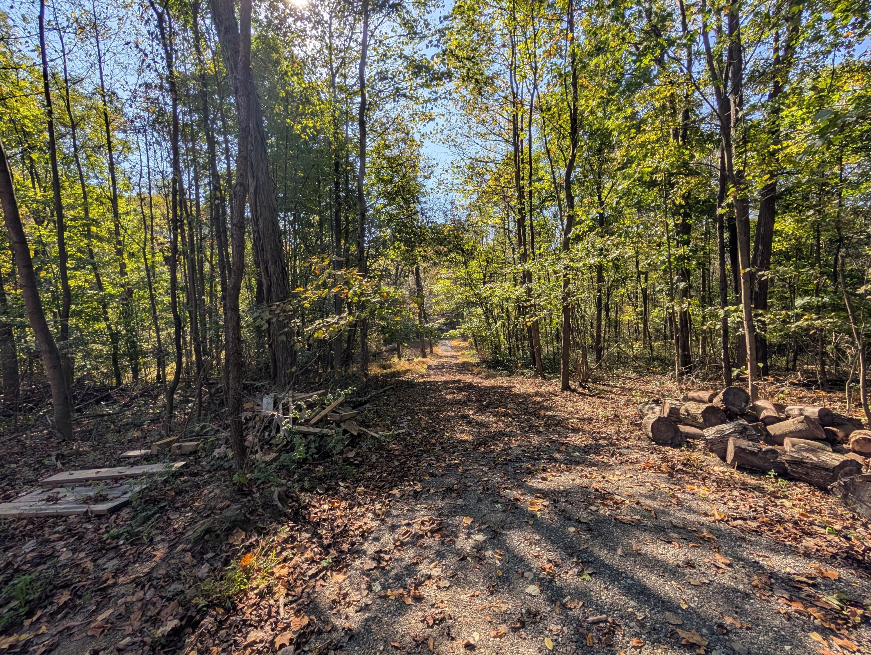 9955 Perryton Road Property Photo 10