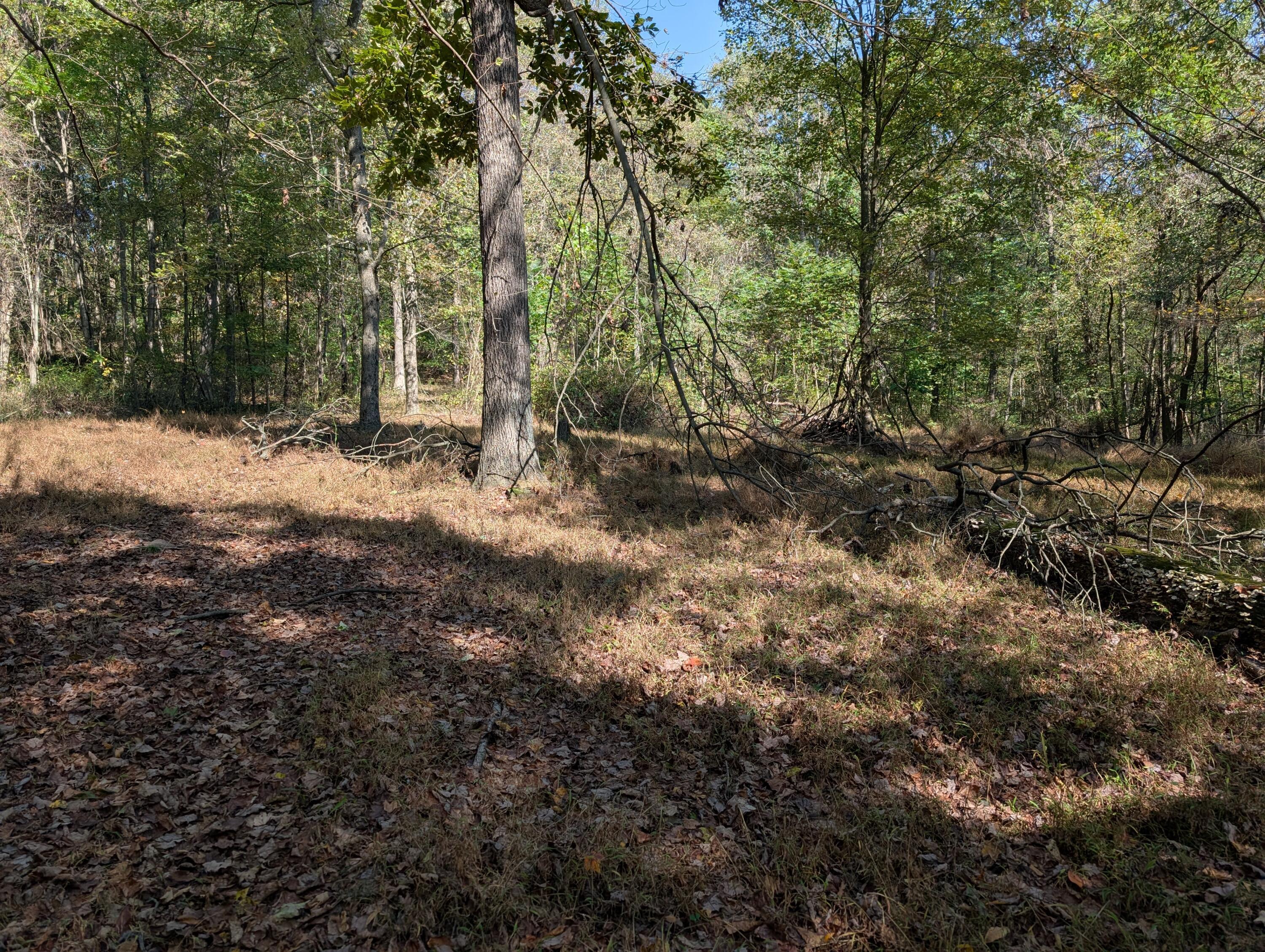 9955 Perryton Road Property Photo 11