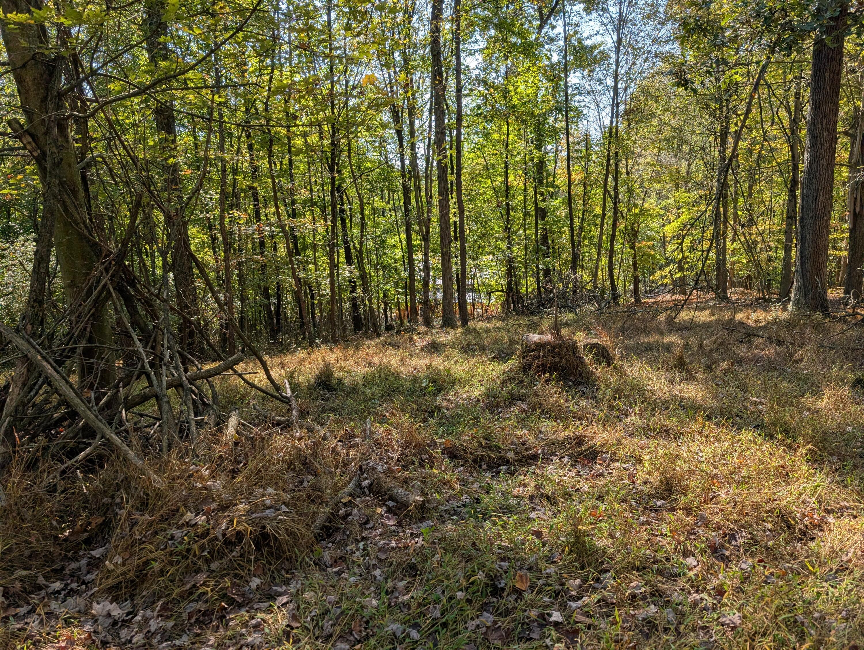 9955 Perryton Road Property Photo 12