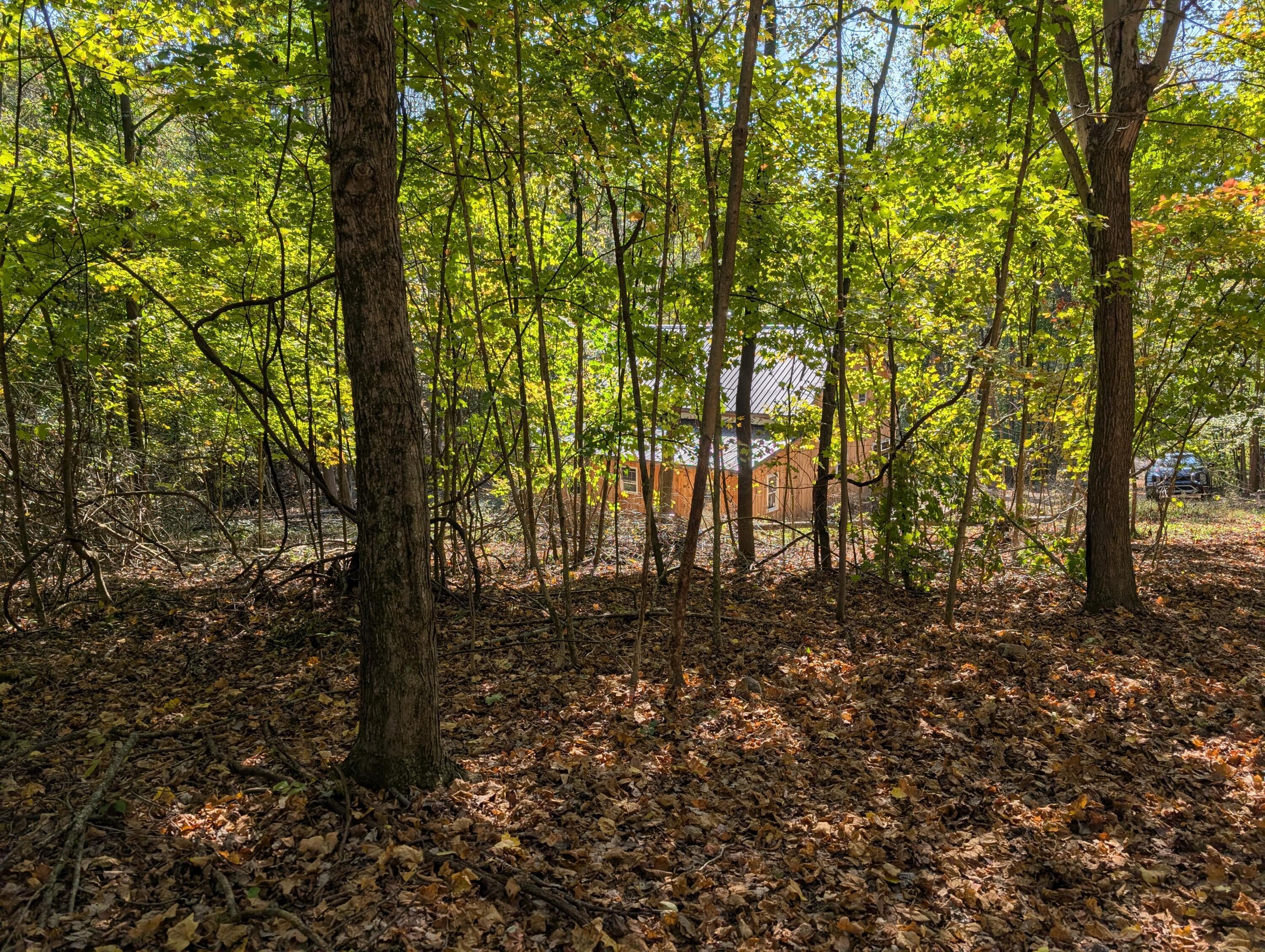 9955 Perryton Road Property Photo 13