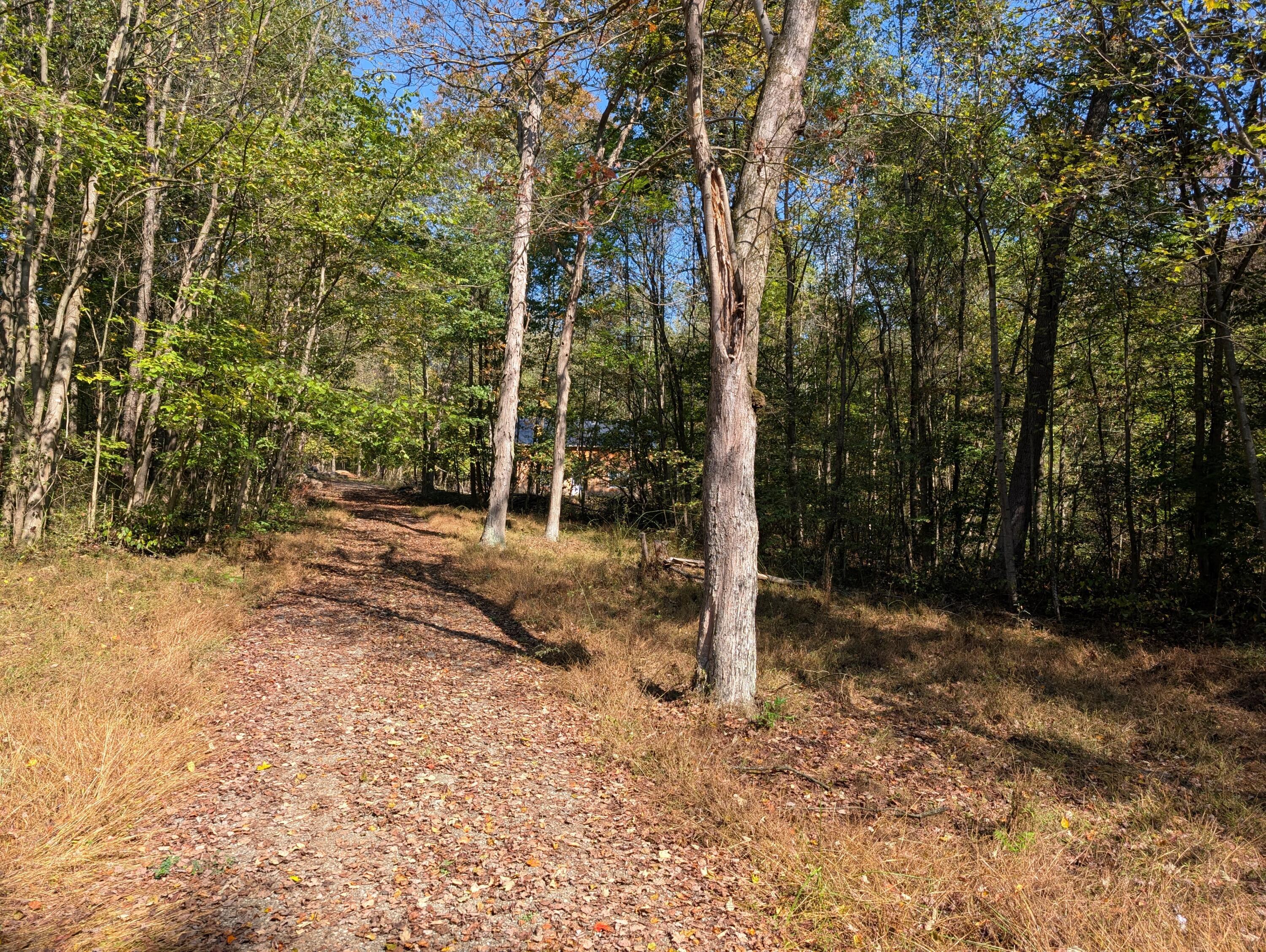9955 Perryton Road Property Photo 16